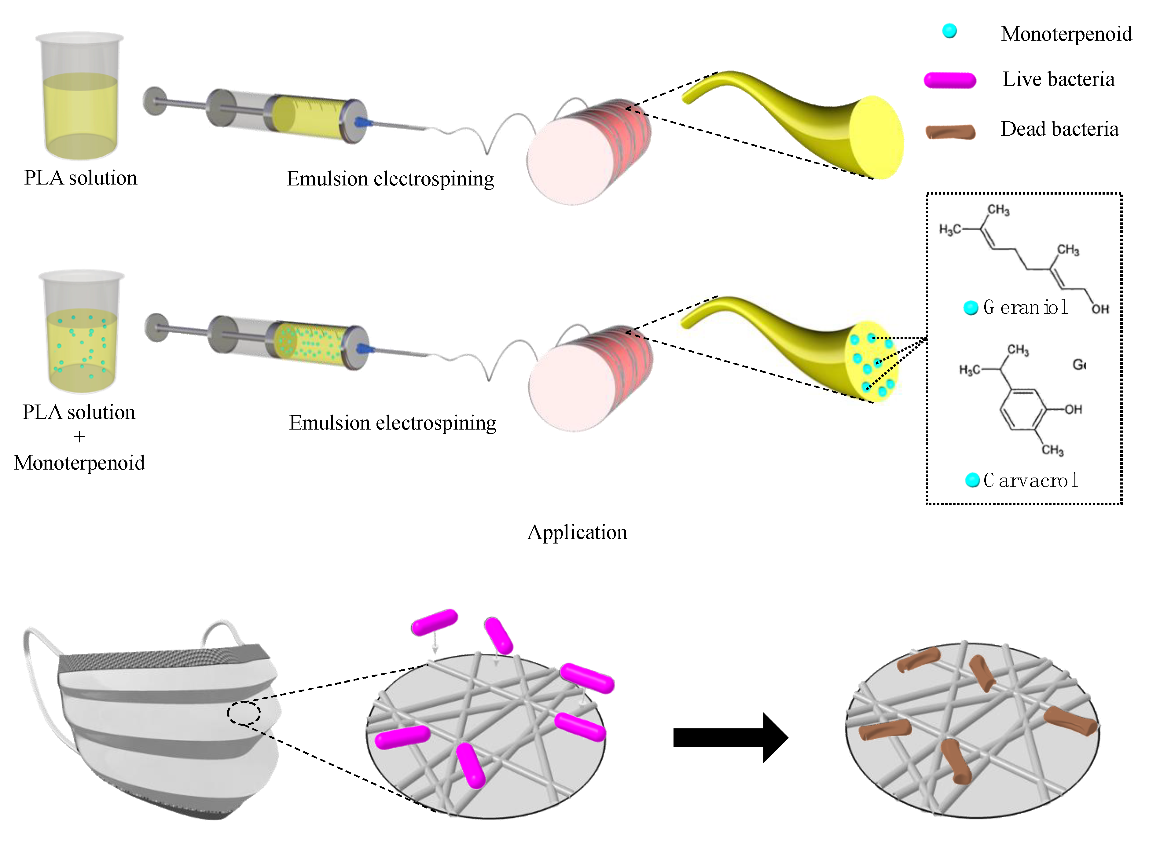 Polymers 13 03405 g001