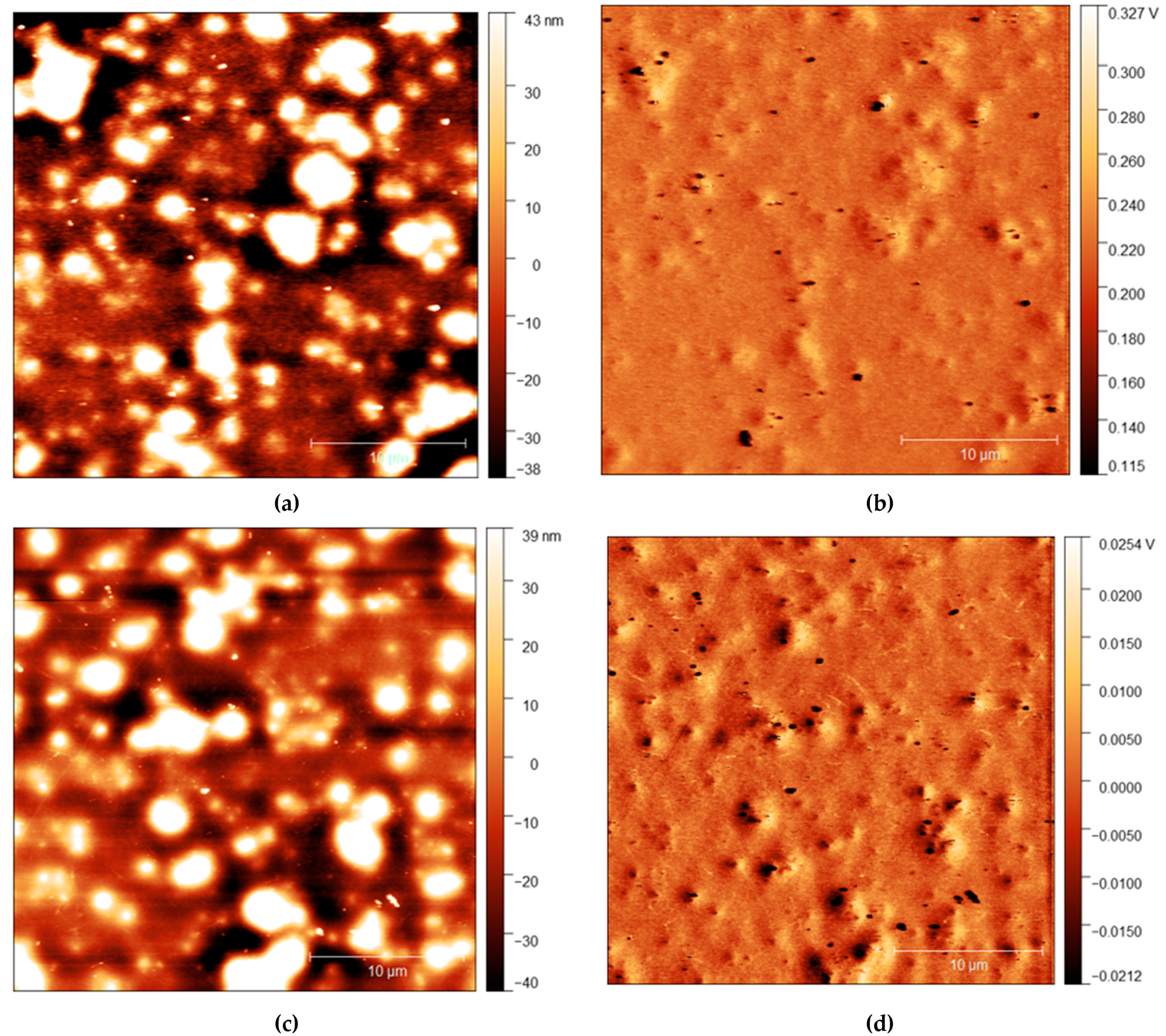 Polymers 13 03407 g004 550