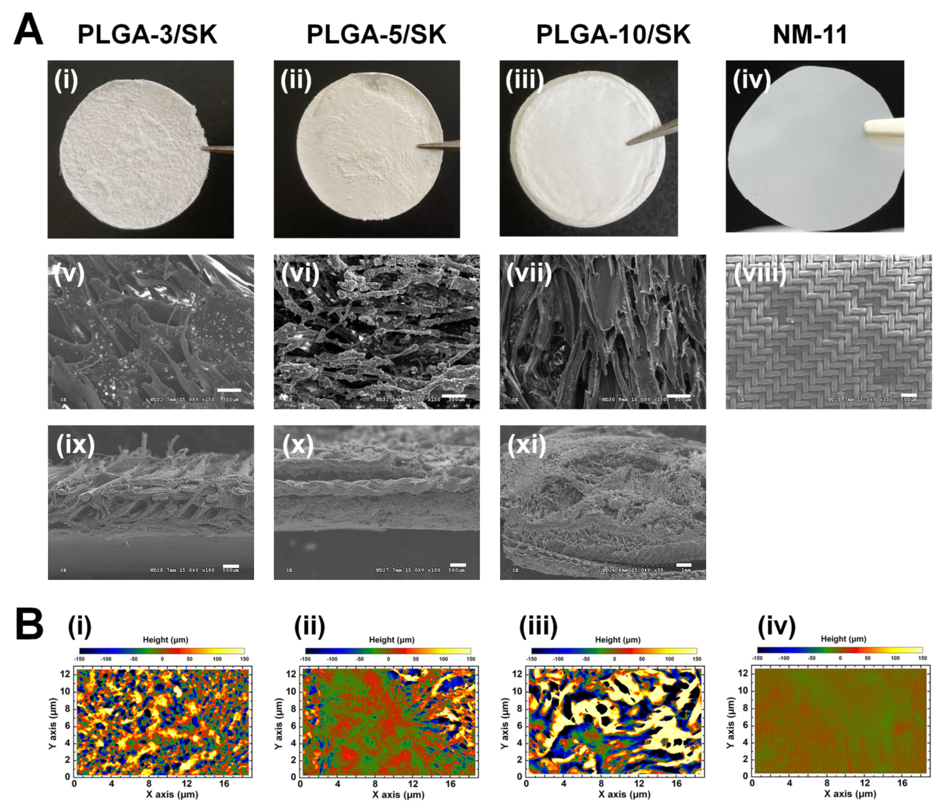 Polymers 13 03411 g002 Polymers 13 03411 g002