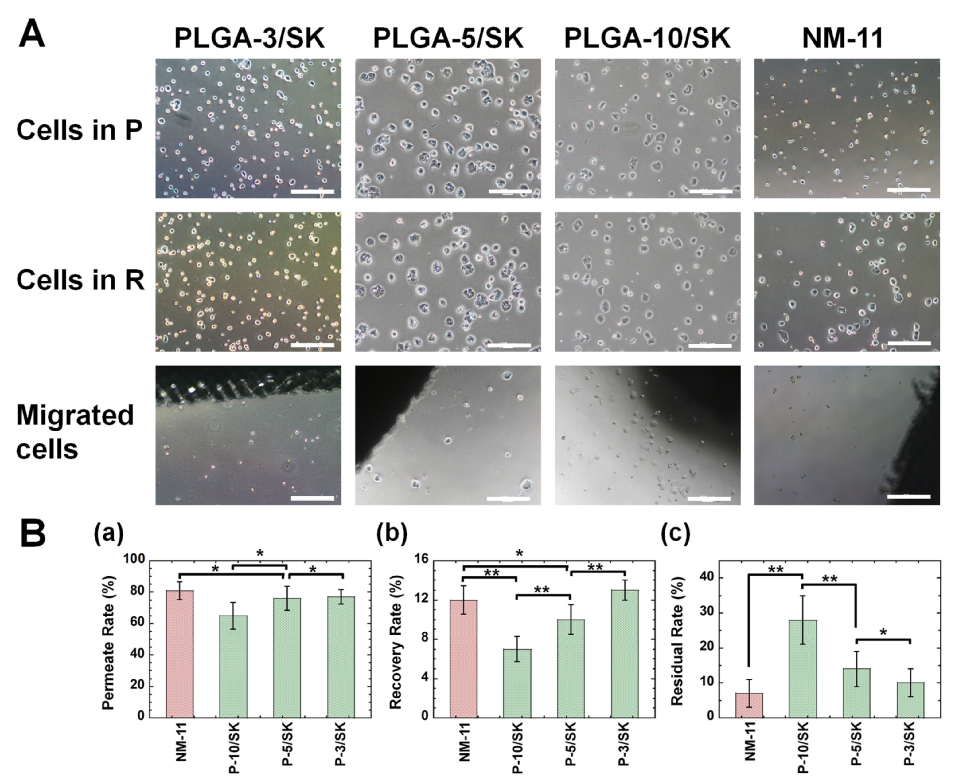 Polymers 13 03411 g003 Polymers 13 03411 g003