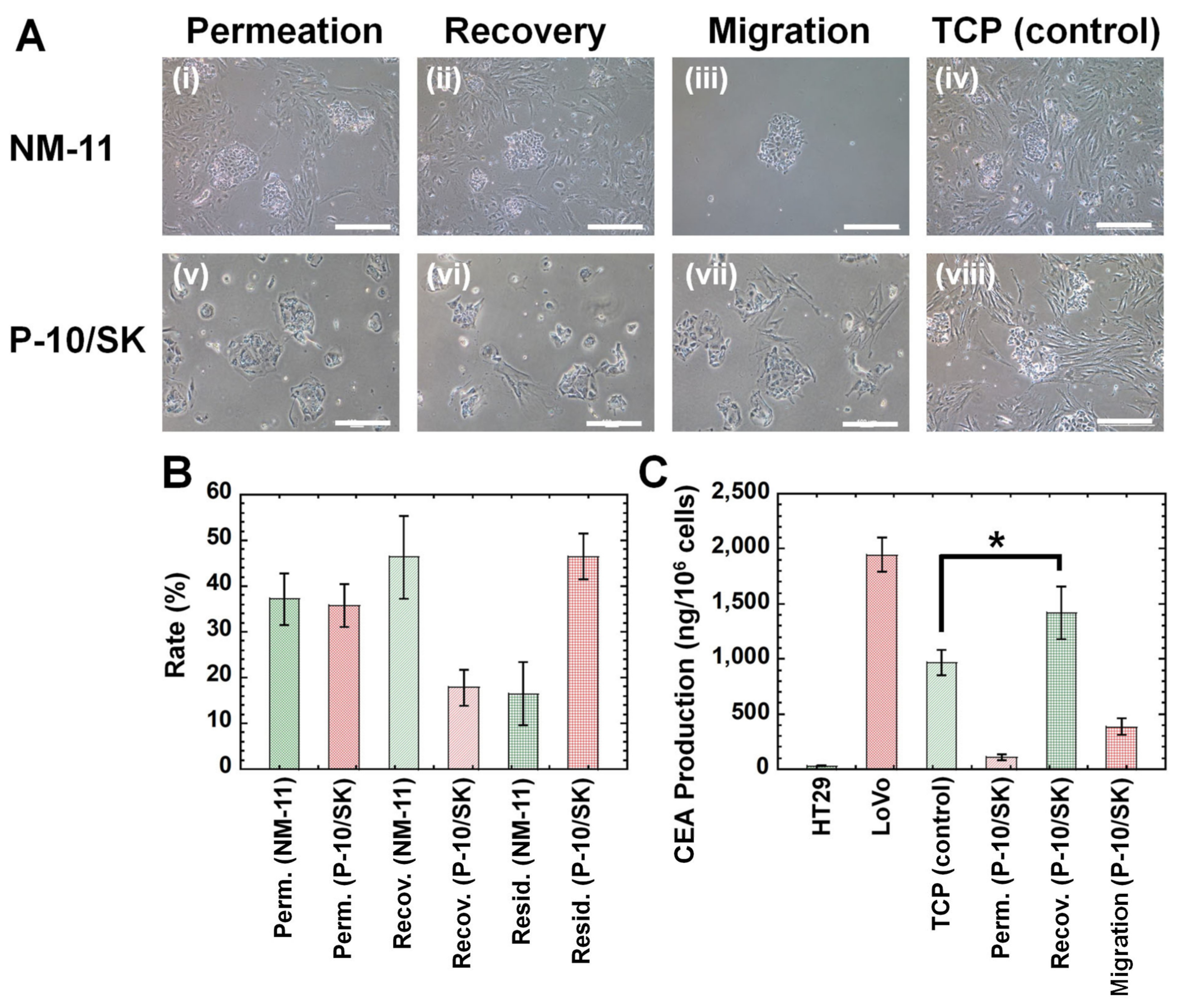 Polymers 13 03411 g007 Polymers 13 03411 g007