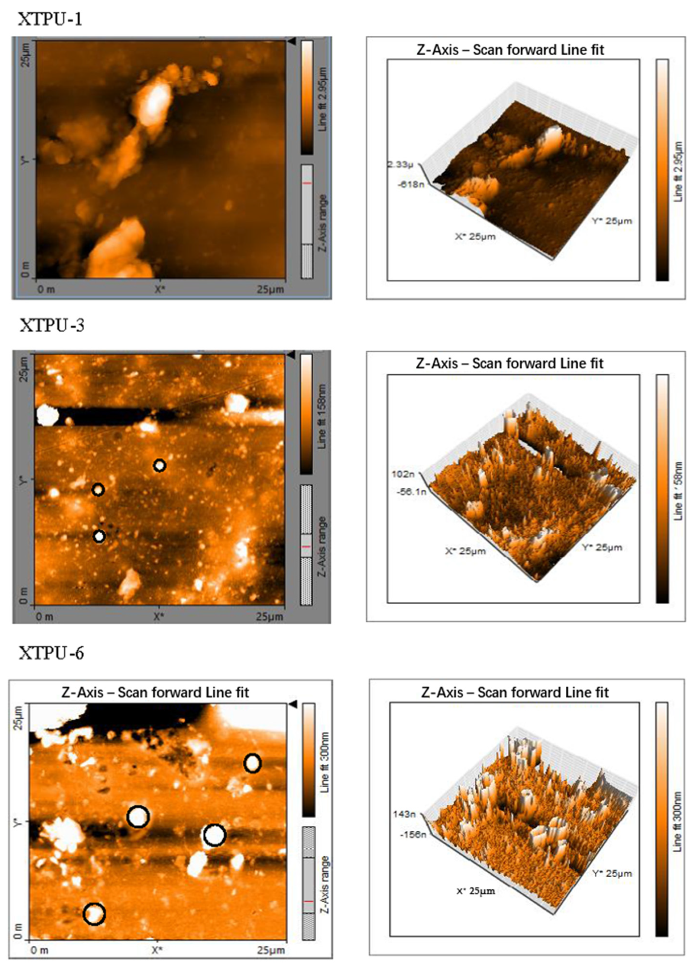 Polymers 13 03416 g009 550