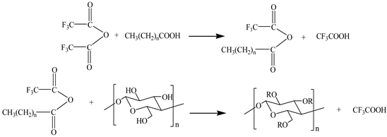 Polymers 13 03417 i001