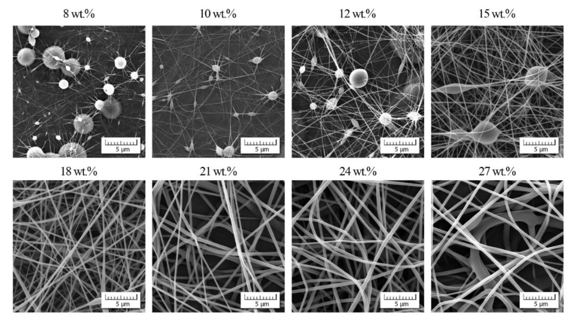 Polymers 13 03418 g006