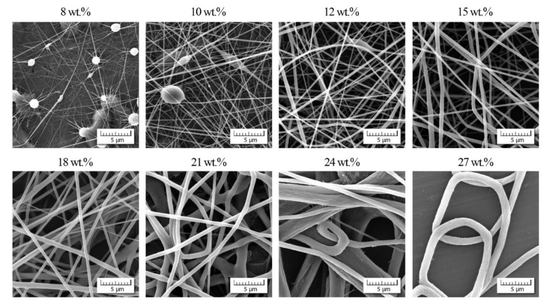Polymers 13 03418 g007