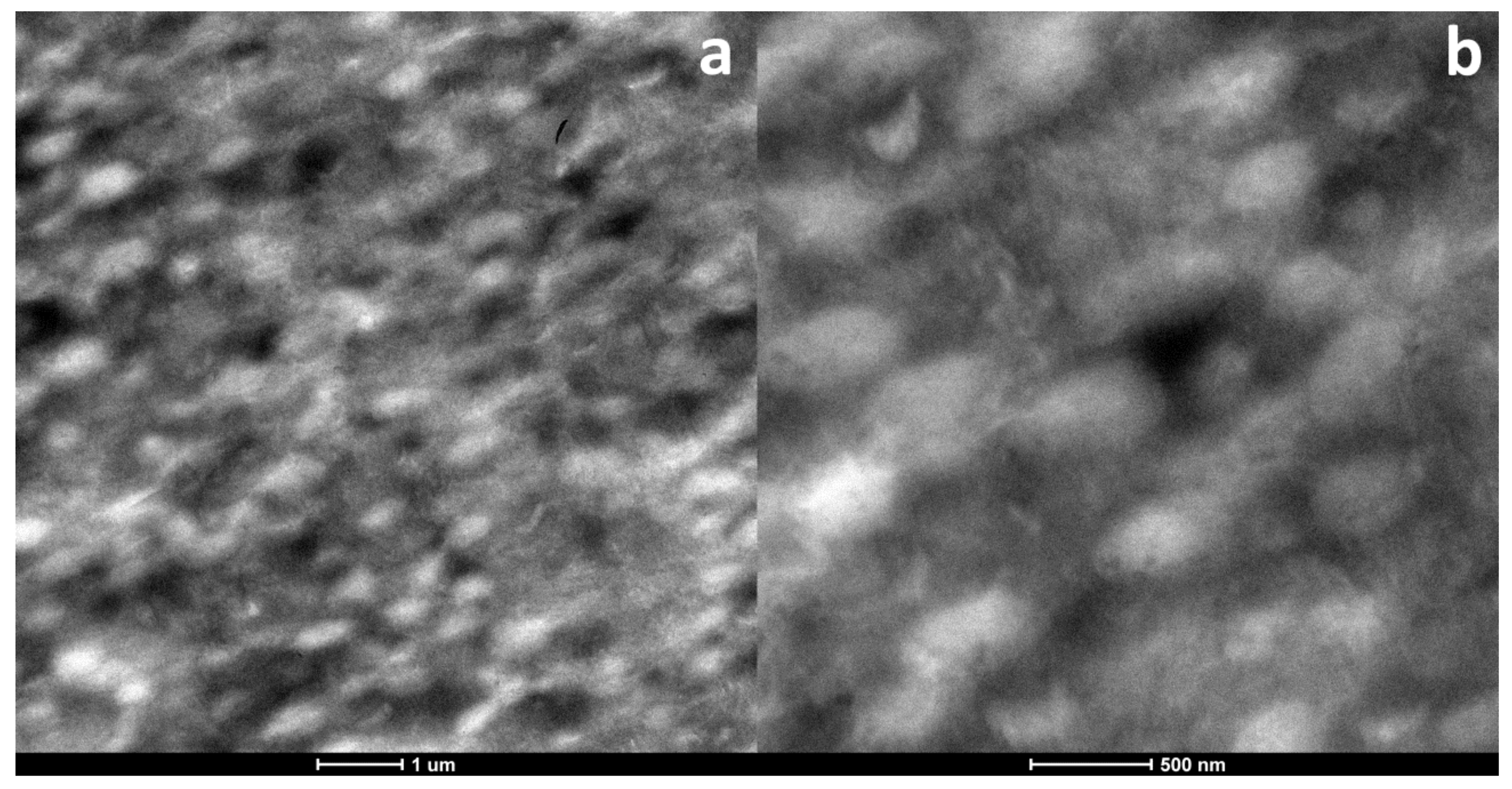Polymers 13 03420 g004 Polymers 13 03420 g004