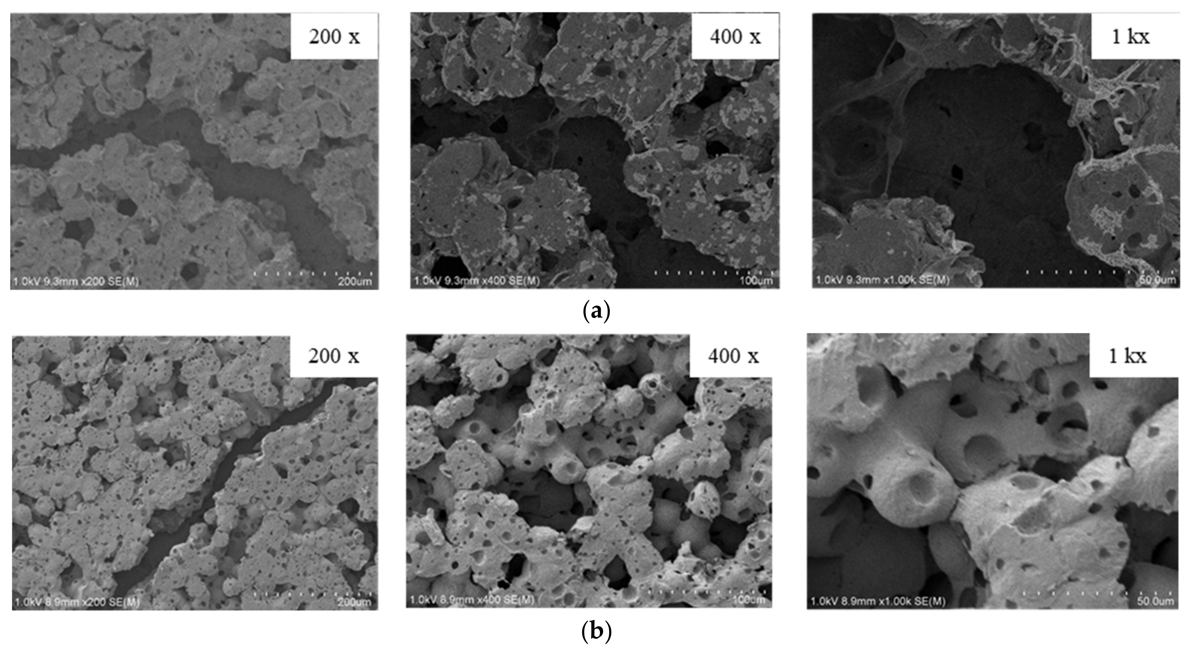Polymers 13 03425 g009