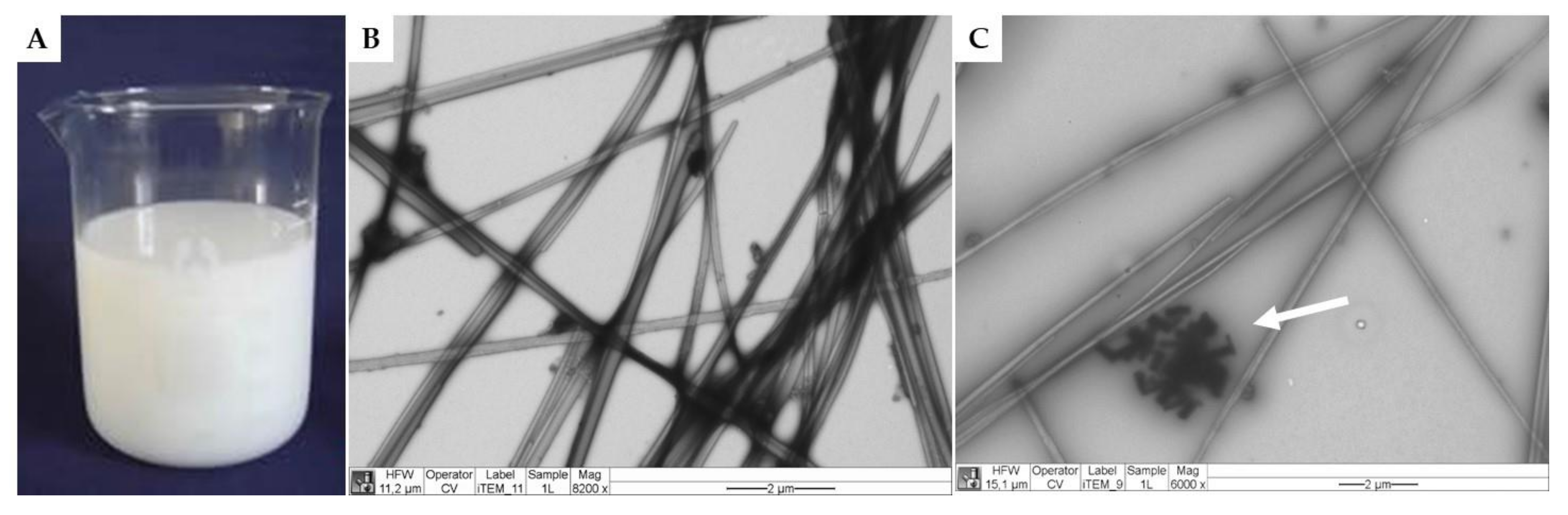 Polymers 13 03426 g002