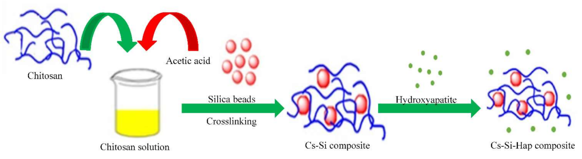 Polymers 13 03427 g001 Polymers 13 03427 g001