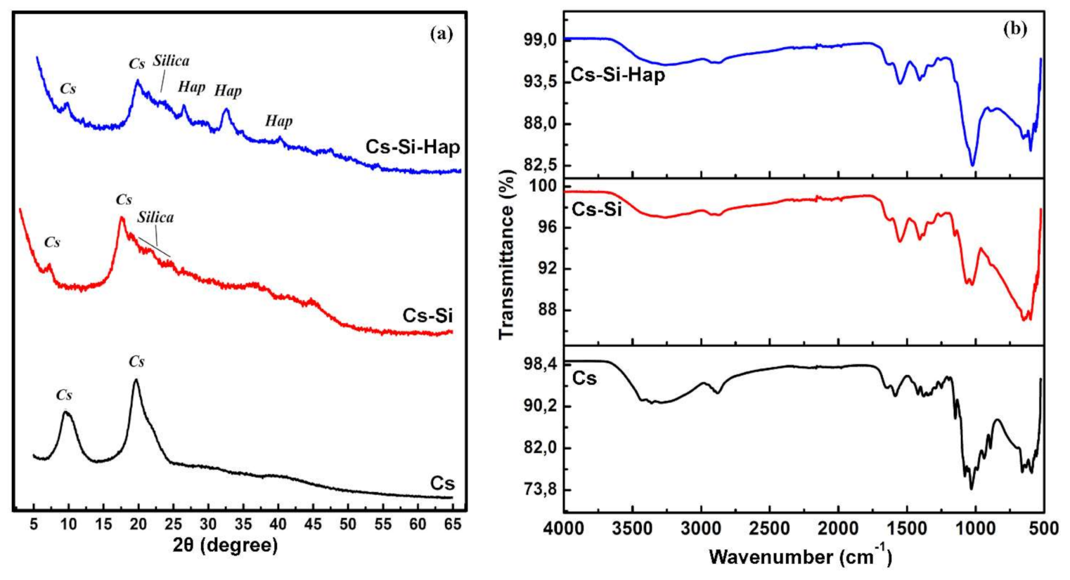 Polymers 13 03427 g002 Polymers 13 03427 g002