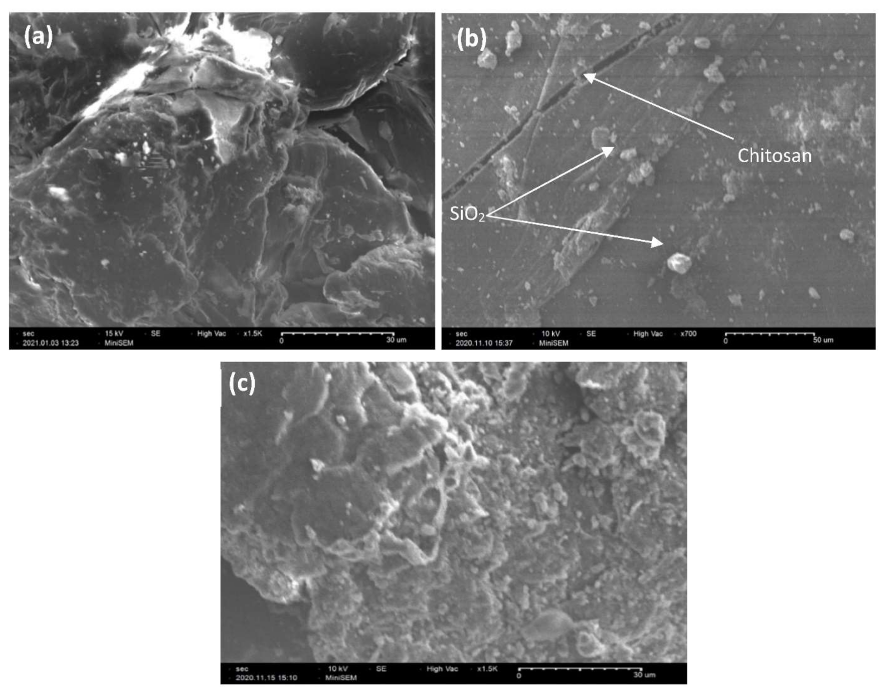 Polymers 13 03427 g003 Polymers 13 03427 g003