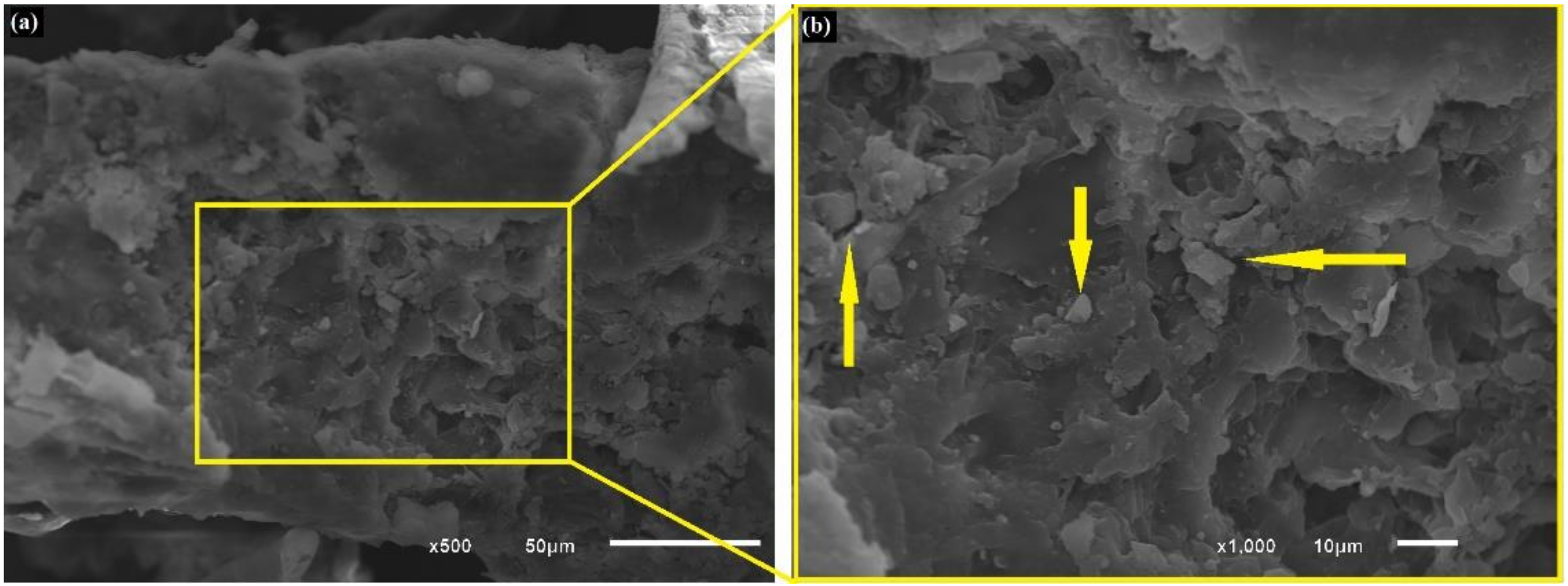 Polymers 13 03428 g005