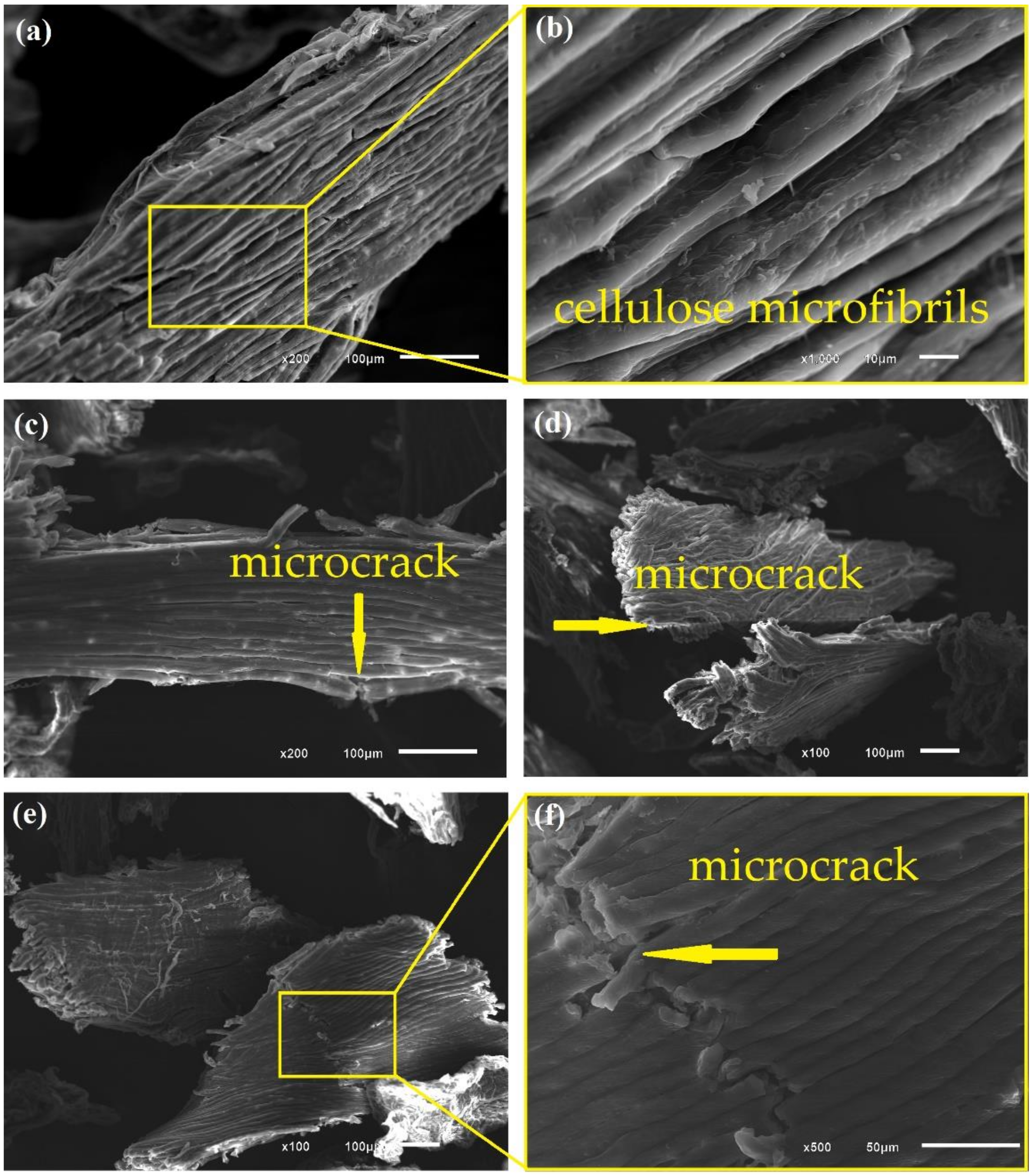 Polymers 13 03428 g006