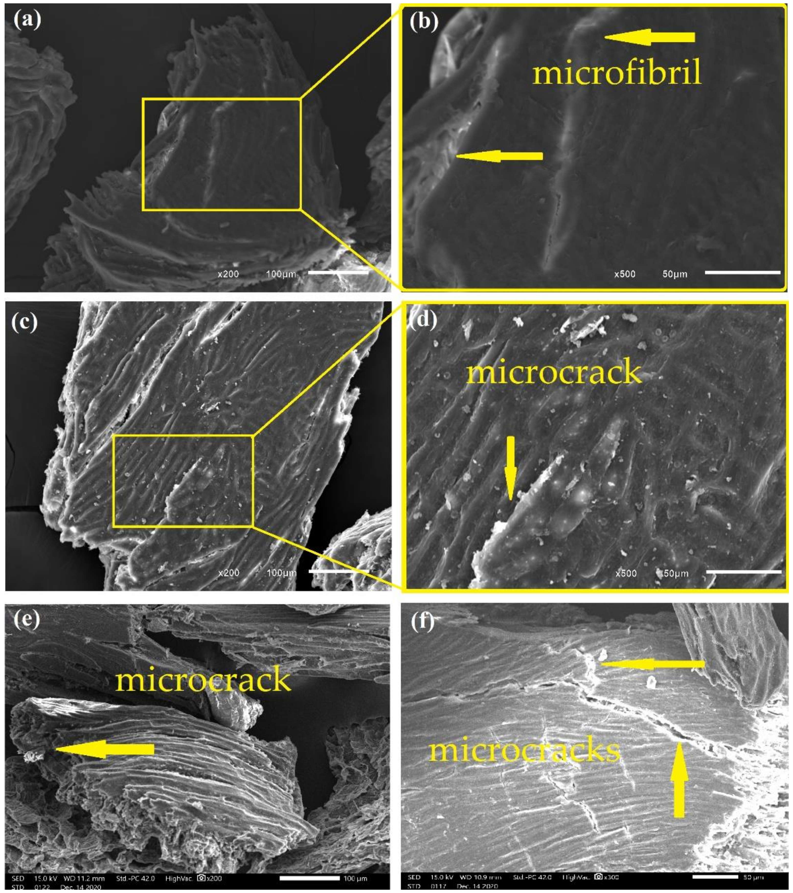 Polymers 13 03428 g007