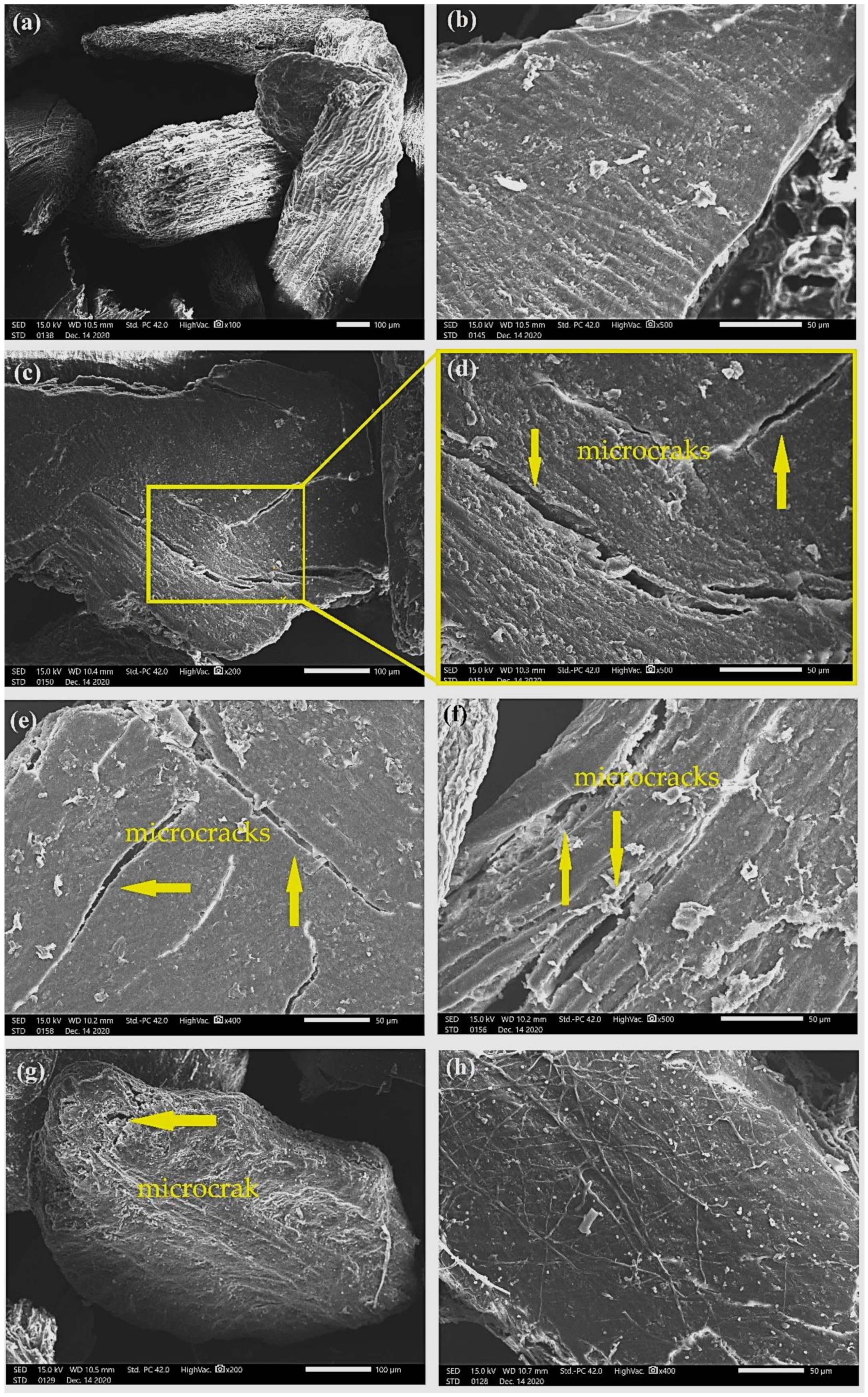 Polymers 13 03428 g008