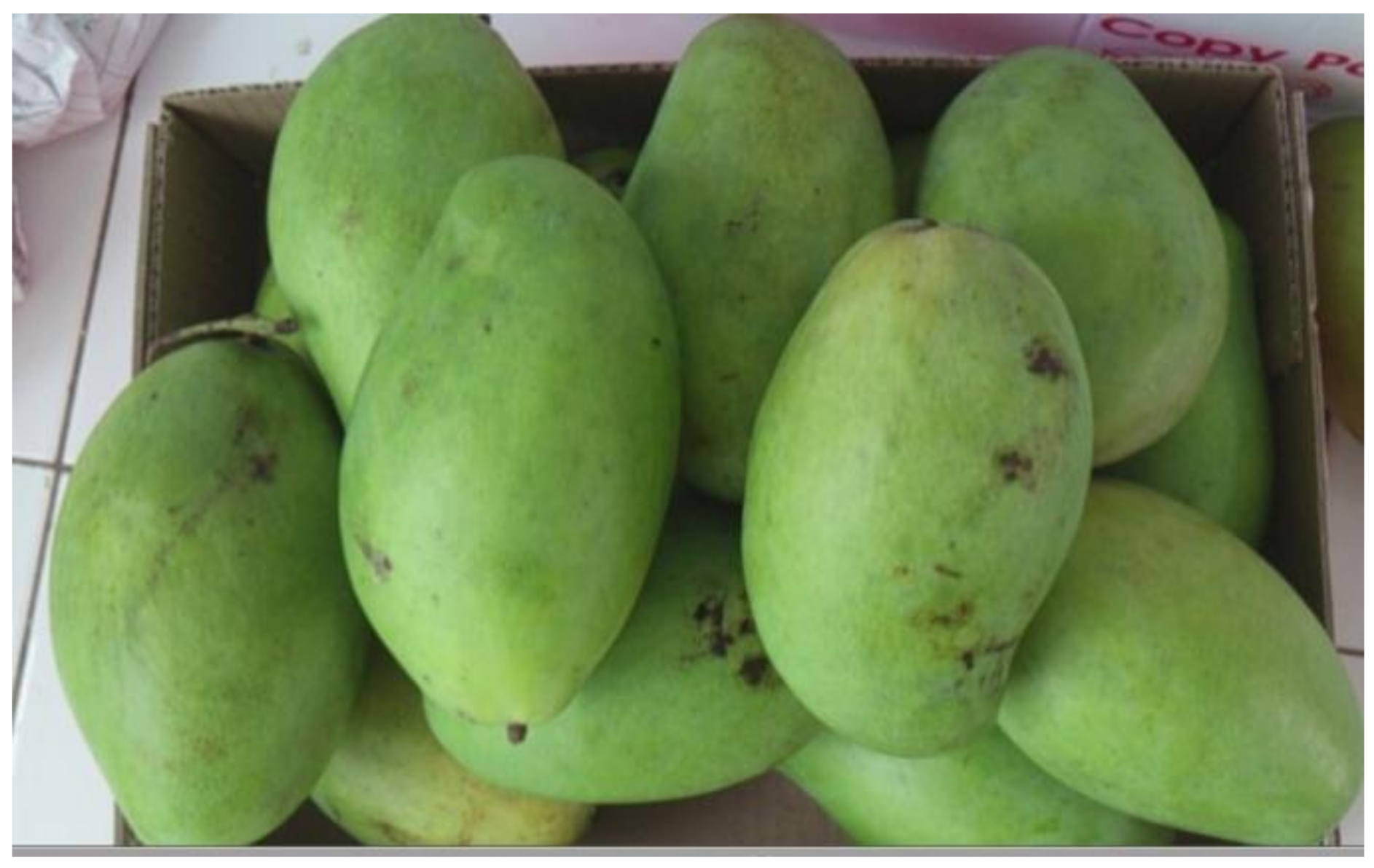 Polymers 13 03430 g001 550