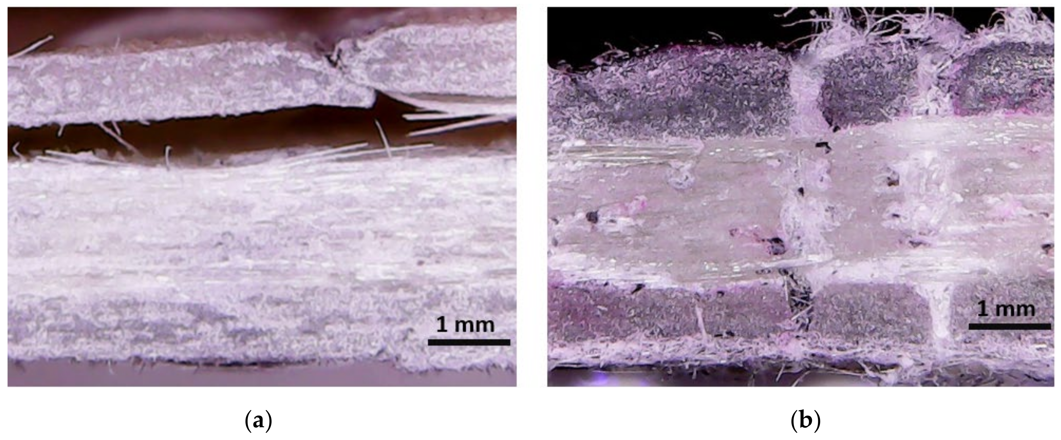 Polymers 13 03431 g011 Polymers 13 03431 g011