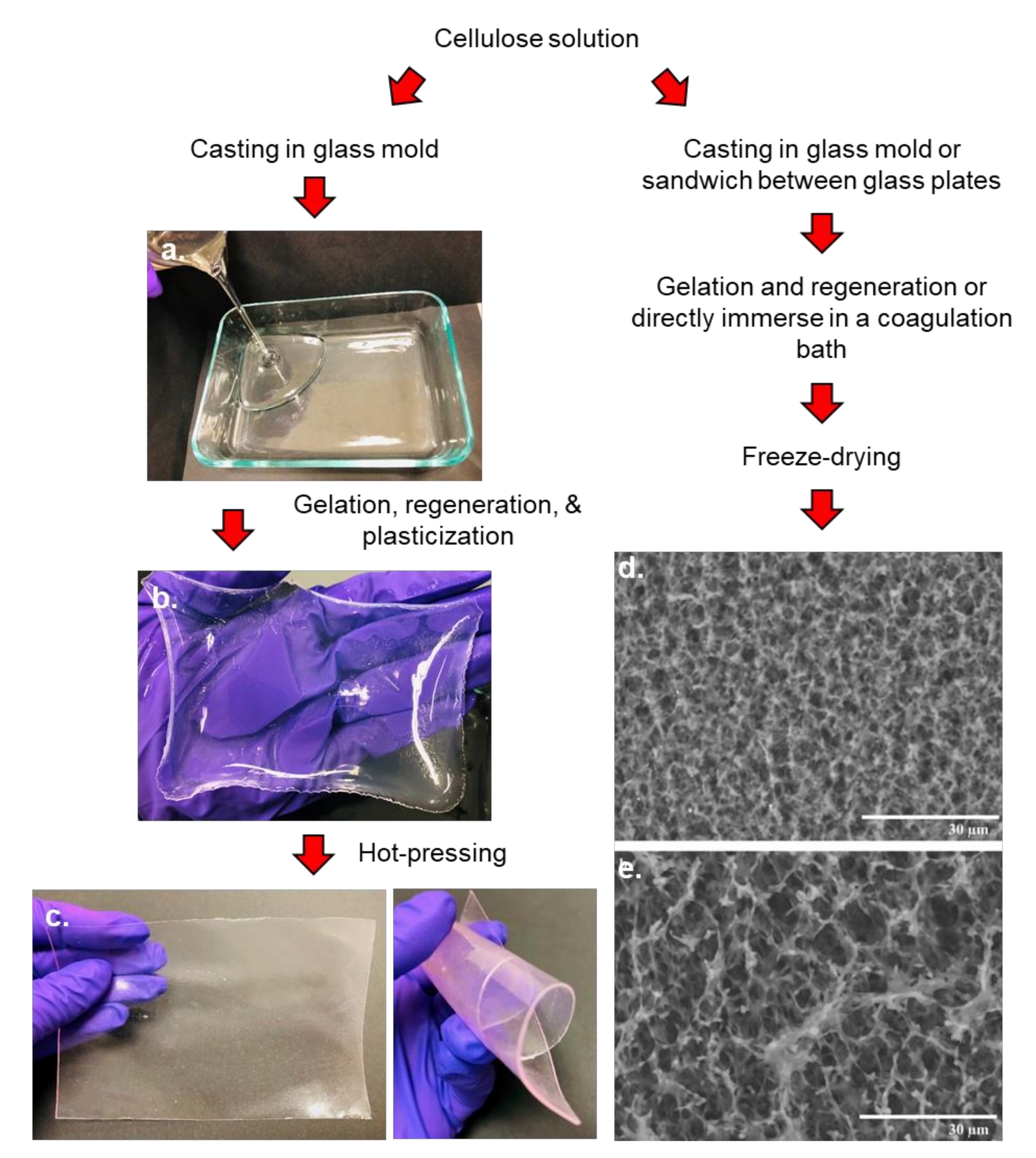 Polymers 13 03433 g007 550