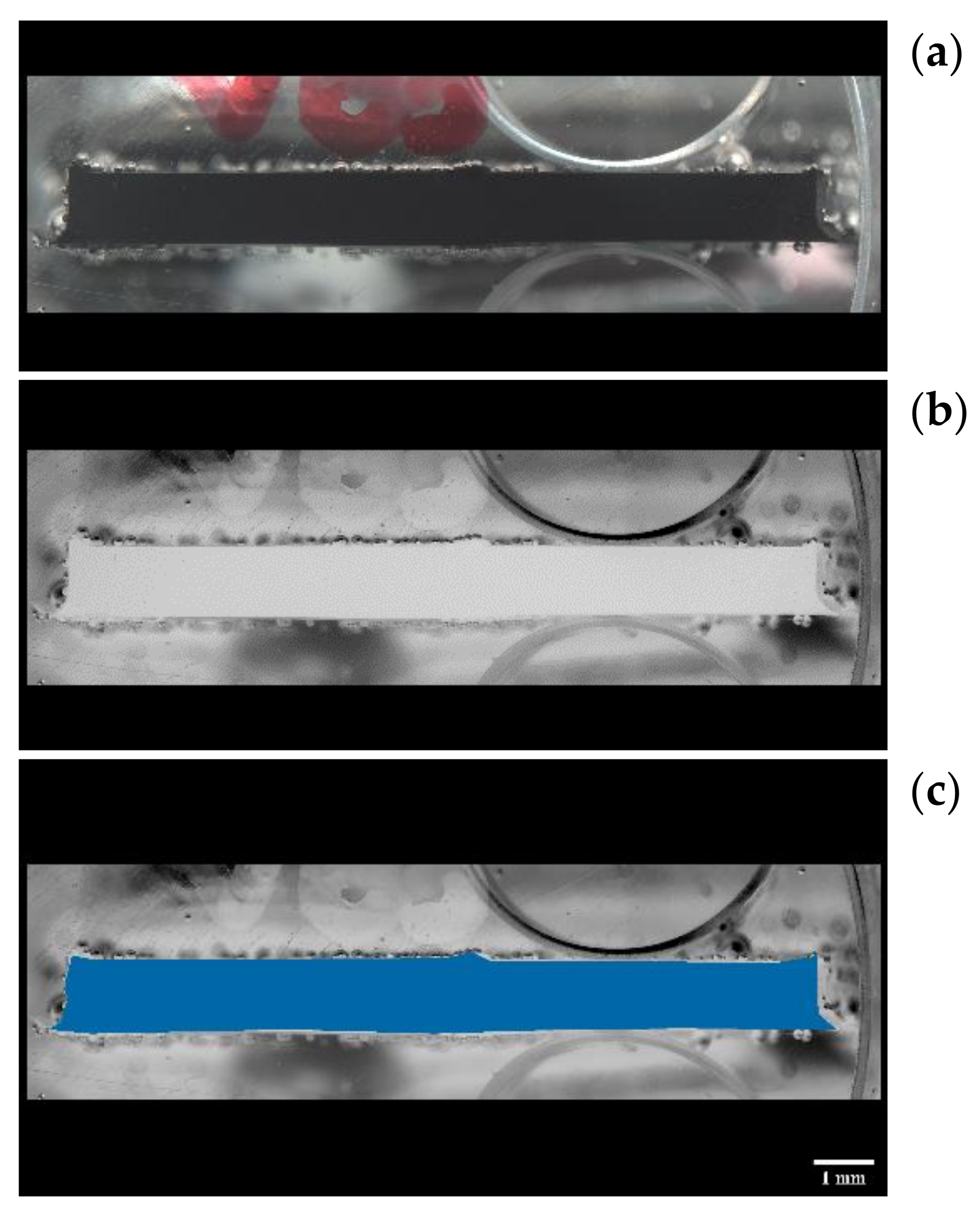 Polymers 13 03437 g010
