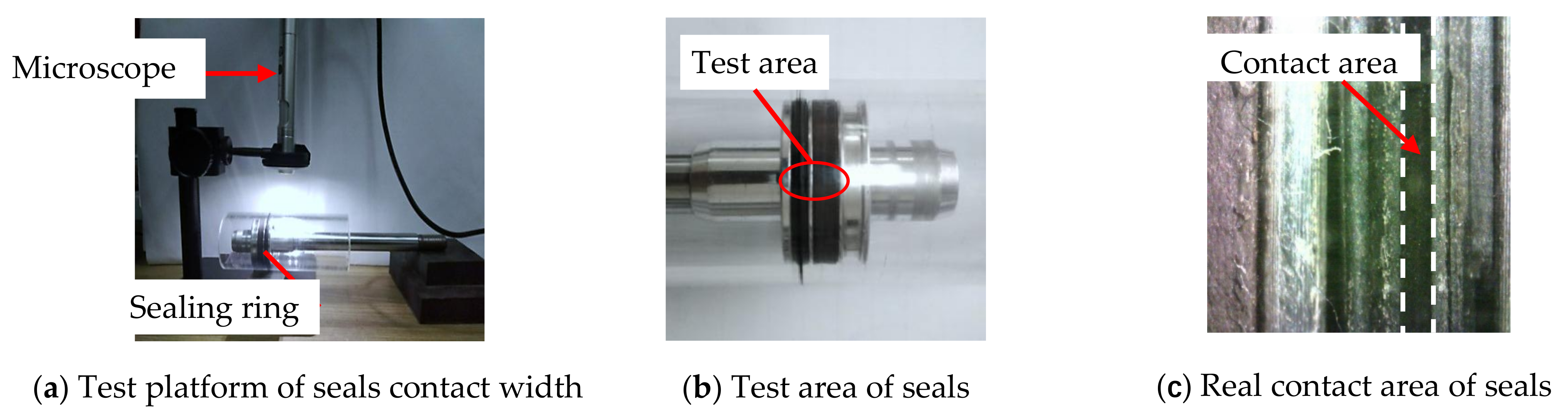 Polymers 13 03438 g002 Polymers 13 03438 g002