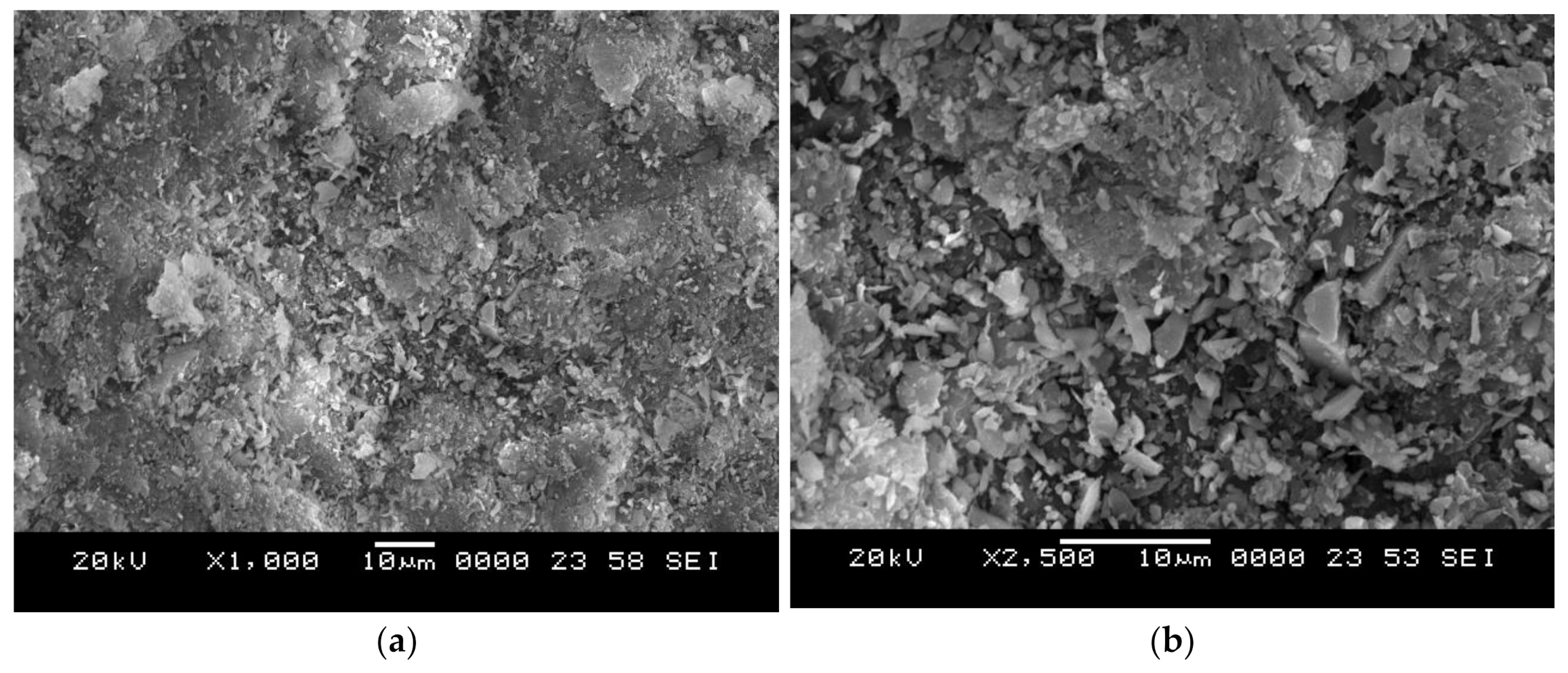 Polymers 13 03441 g005 550