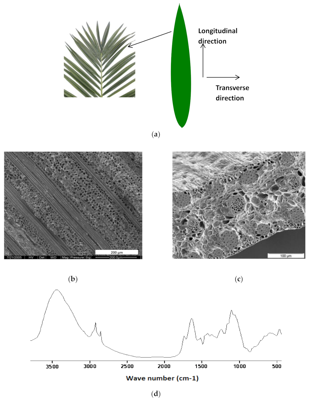 Polymers 13 03444 g003 550