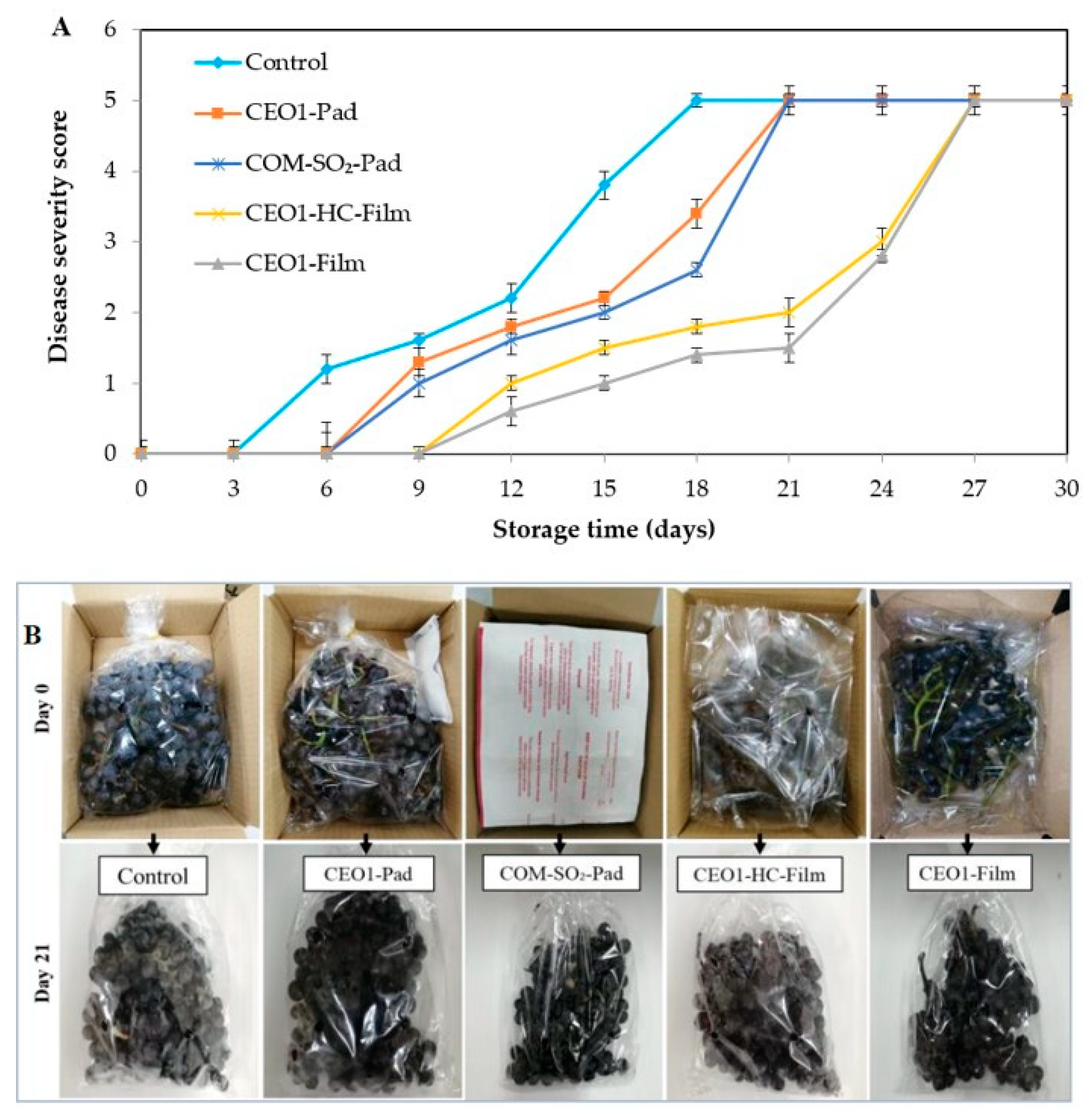 Polymers 13 03445 g002 Polymers 13 03445 g002