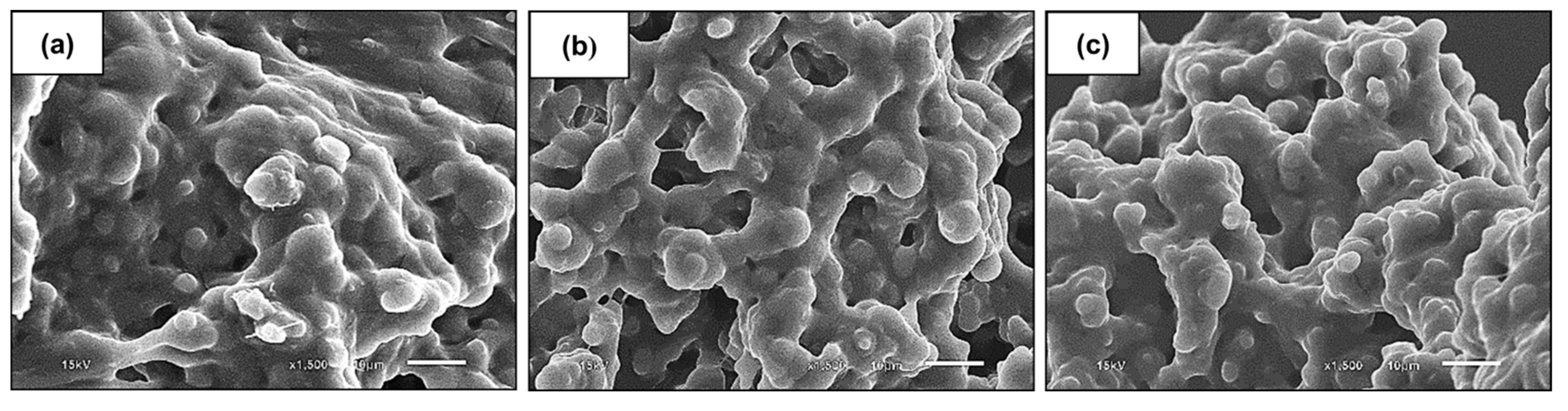Polymers 13 03447 g008 550