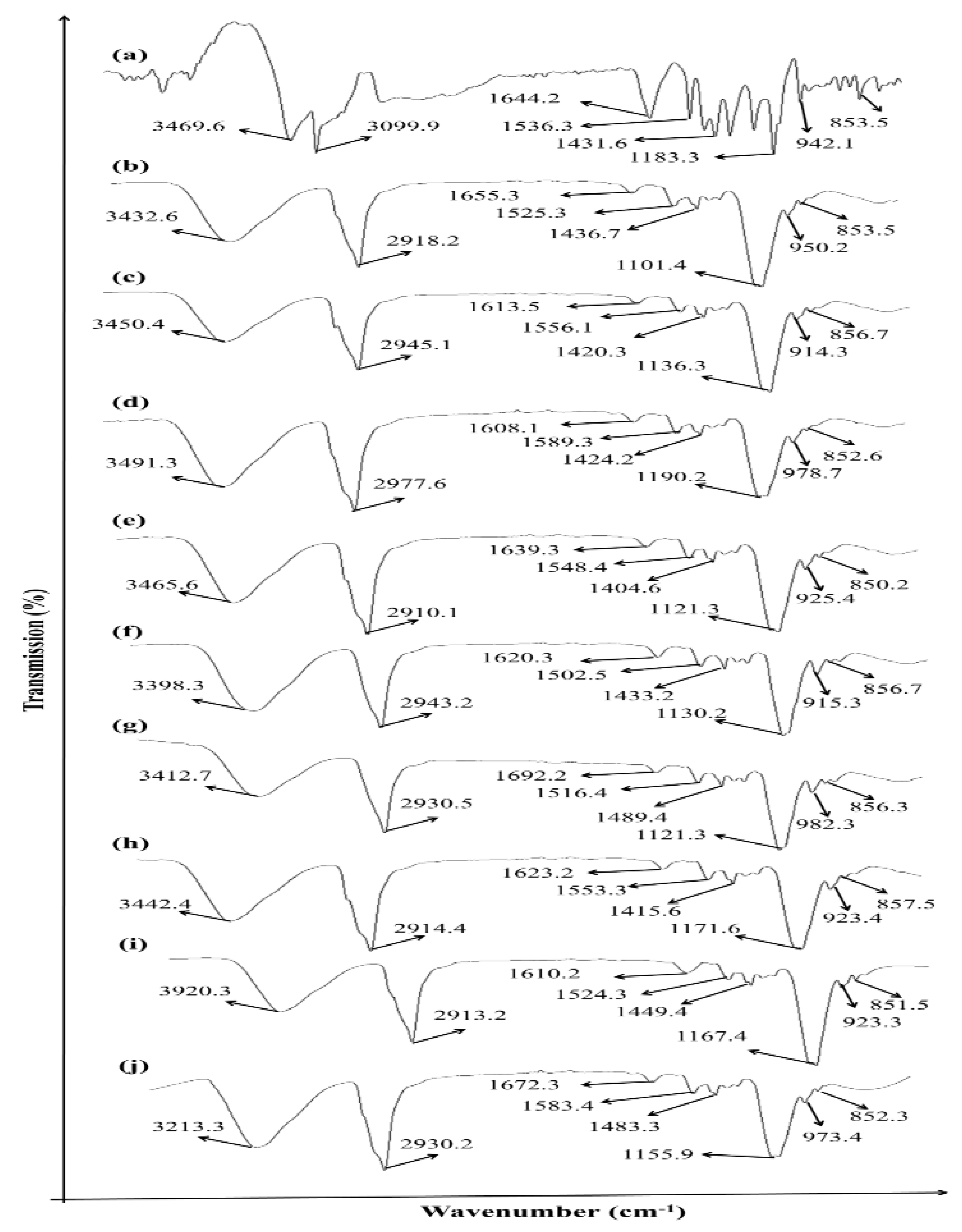 Polymers 13 03455 g001 Polymers 13 03455 g001