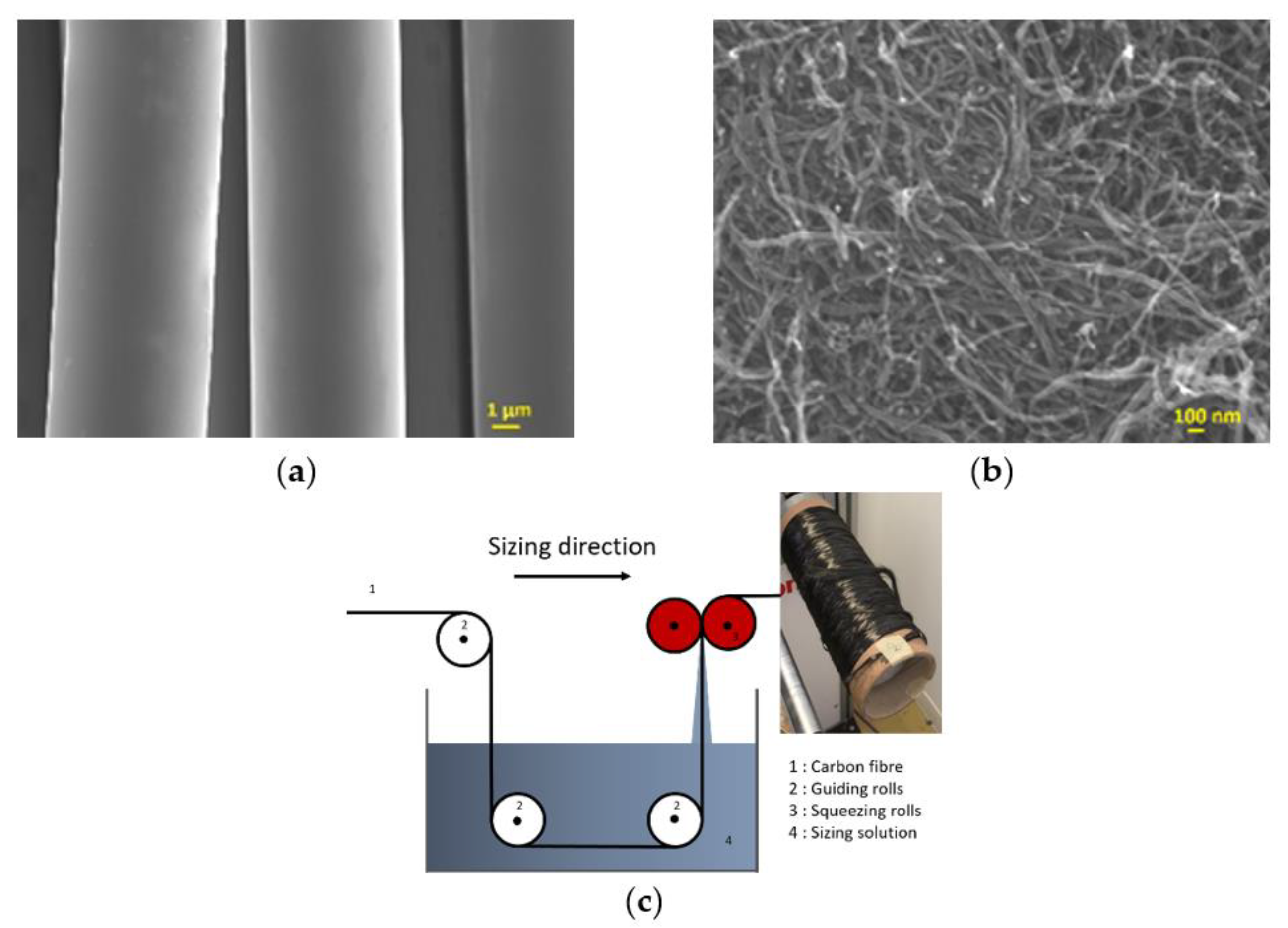 Polymers 13 03457 g001 550