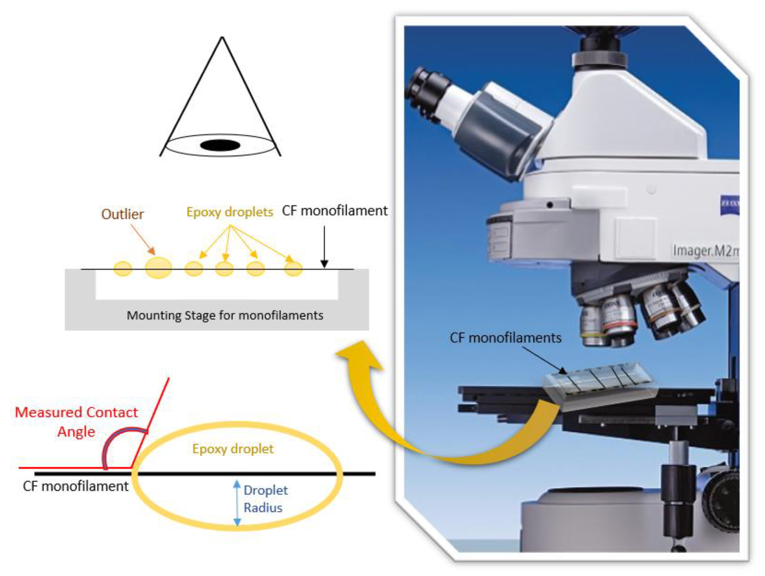 Polymers 13 03457 g002 550