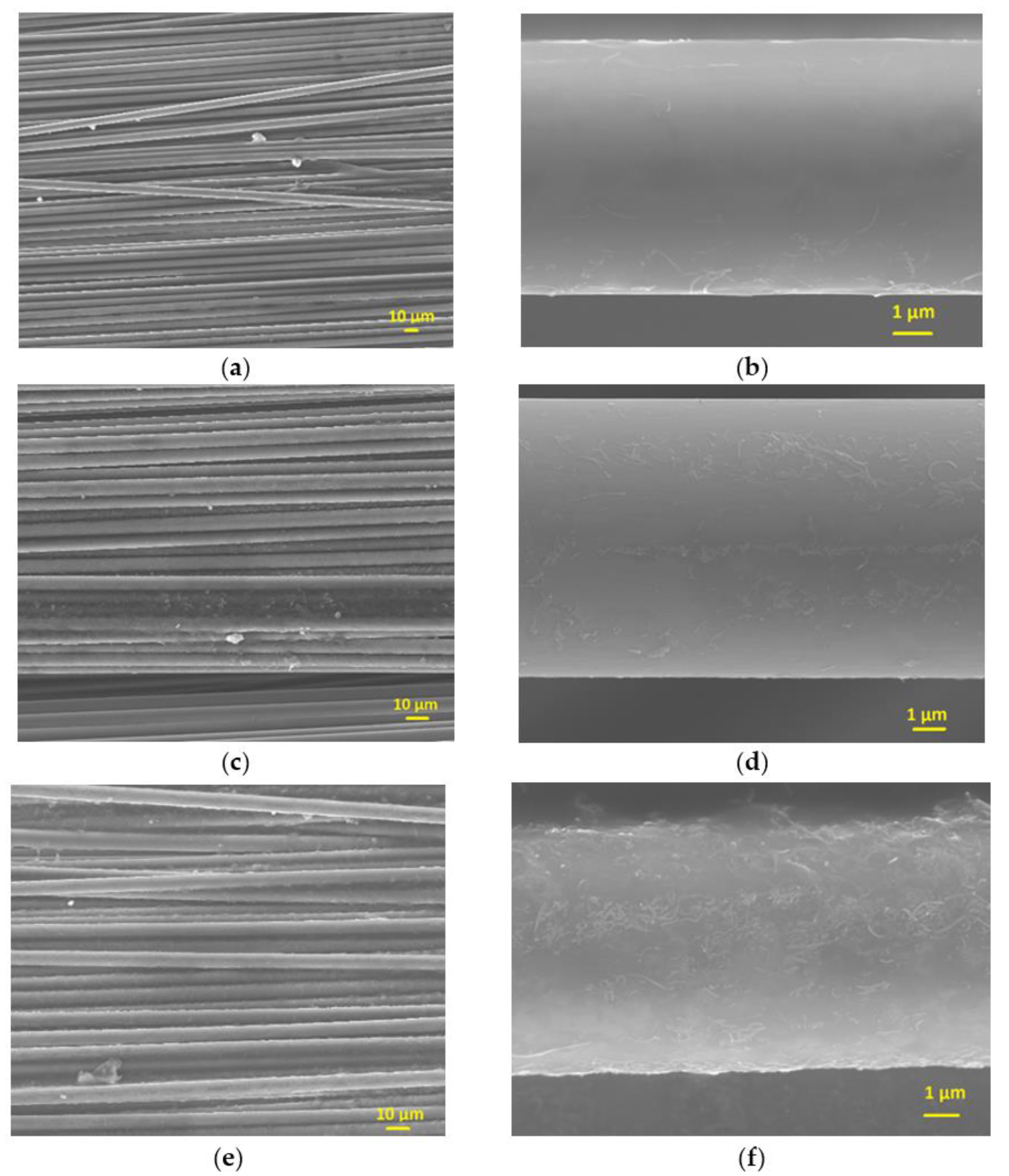 Polymers 13 03457 g004 550