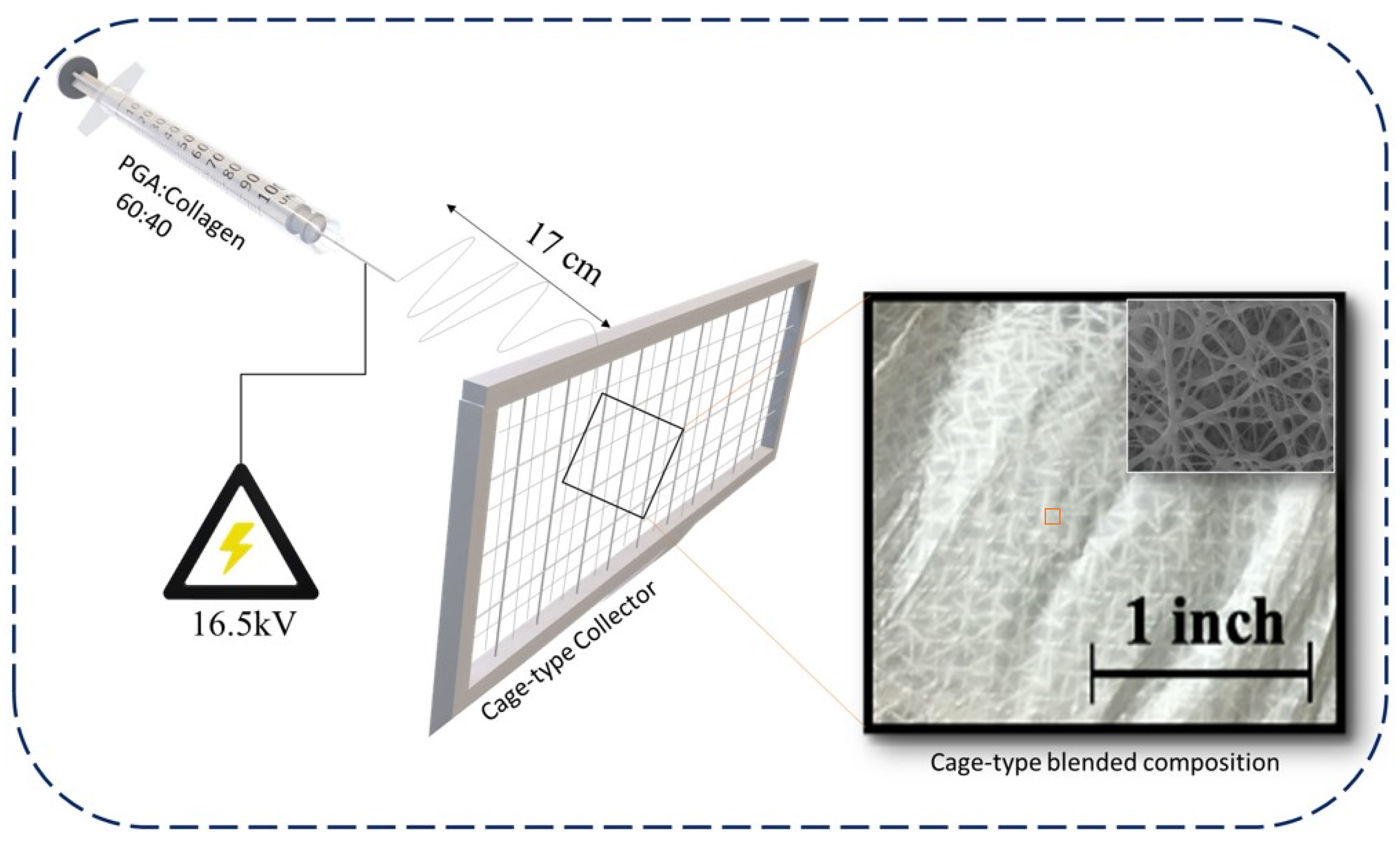 Polymers 13 03458 g001