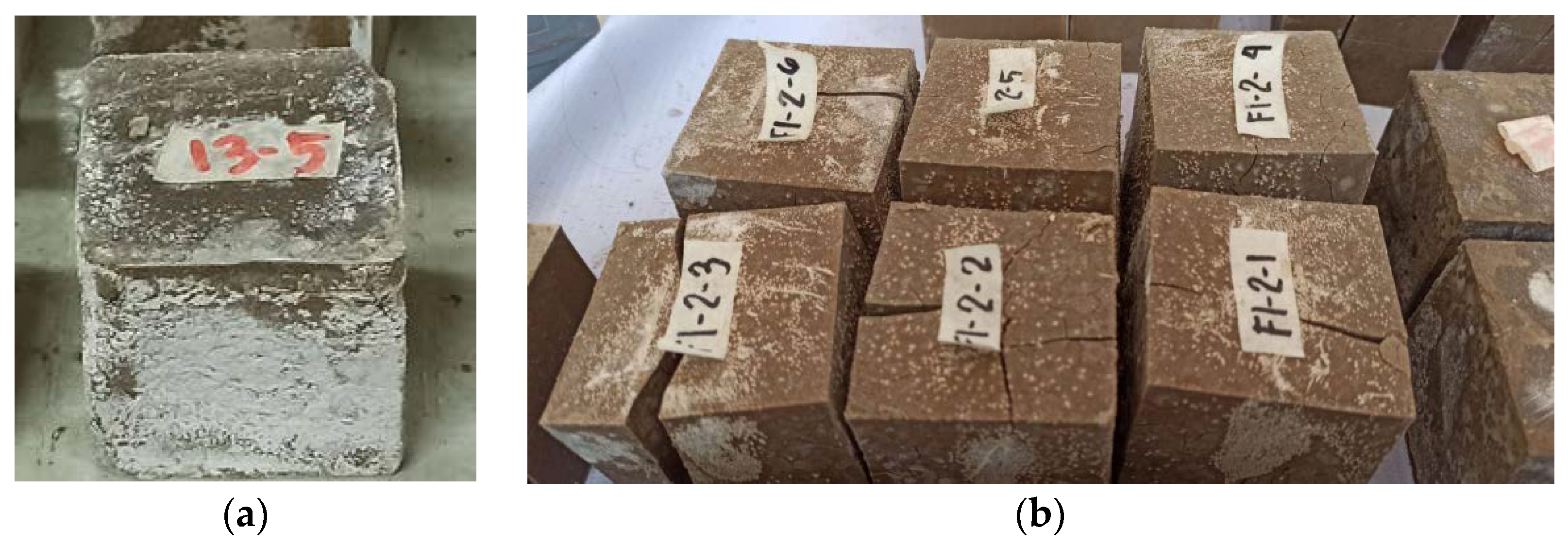 Polymers 13 03461 g005