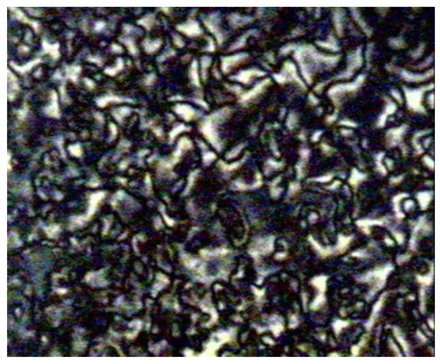 Polymers 13 03462 g002 550