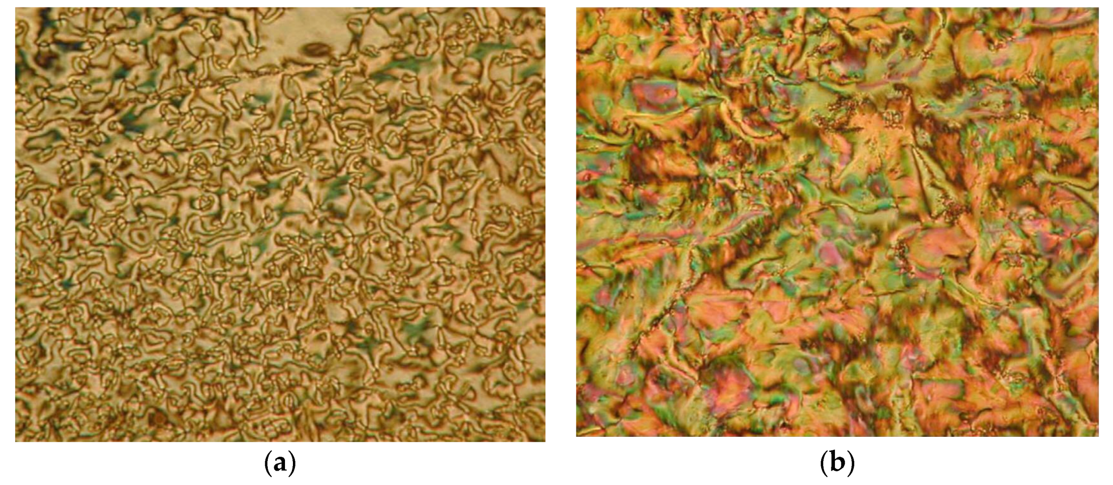 Polymers 13 03462 g003 550