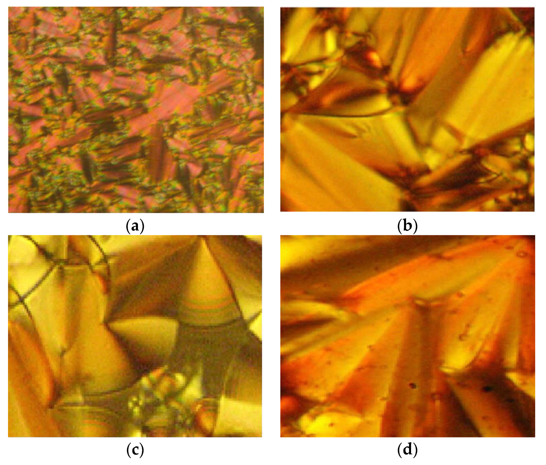 Polymers 13 03462 g004 550