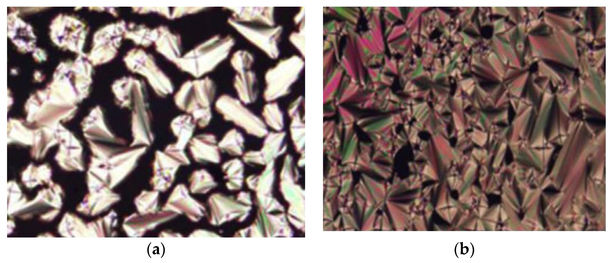 Polymers 13 03462 g005 550