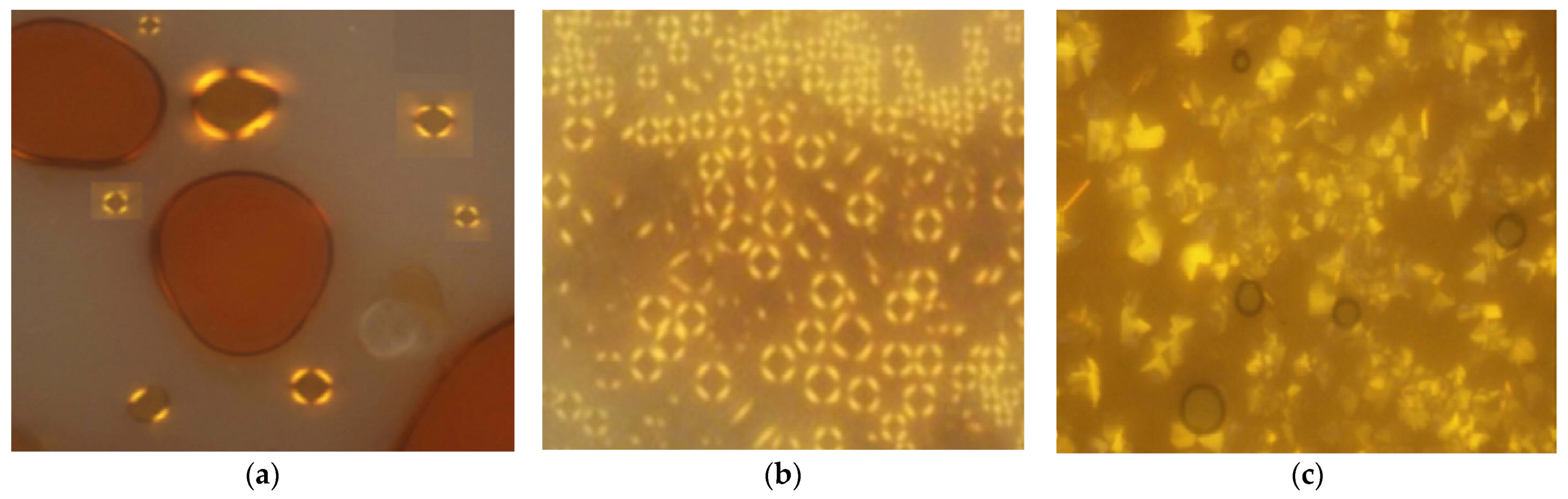 Polymers 13 03462 g006 550