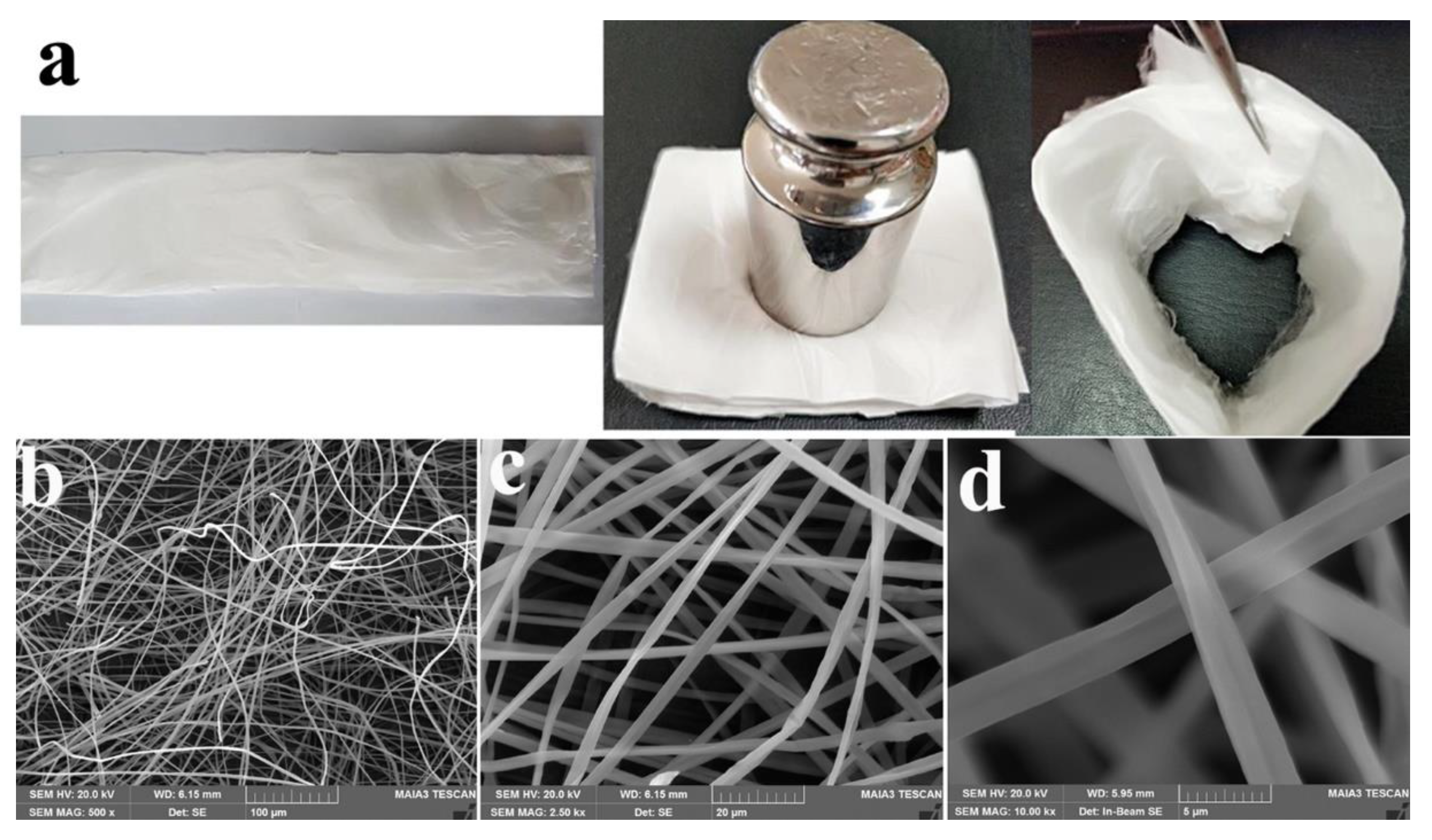 Polymers 13 03463 g009 550