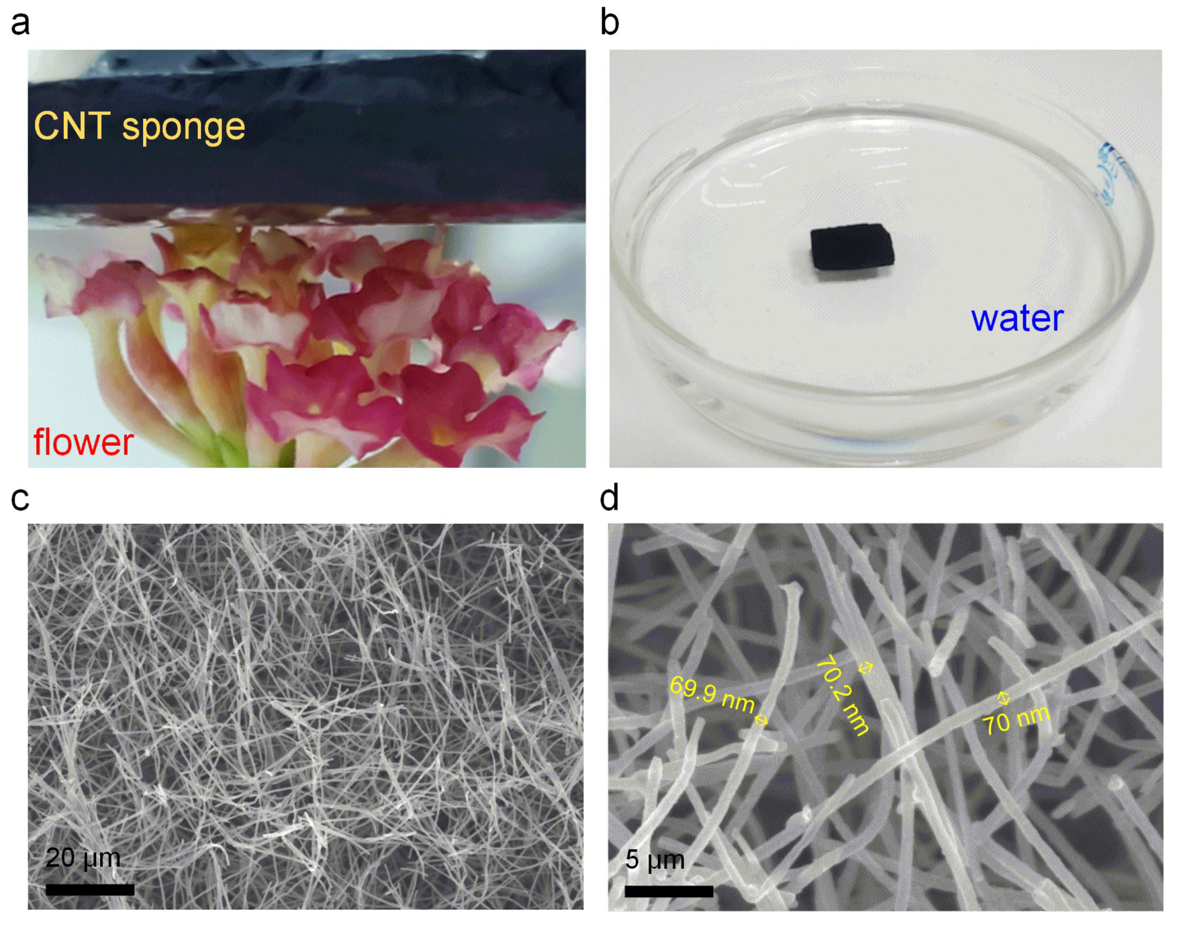 Polymers 13 03465 g002