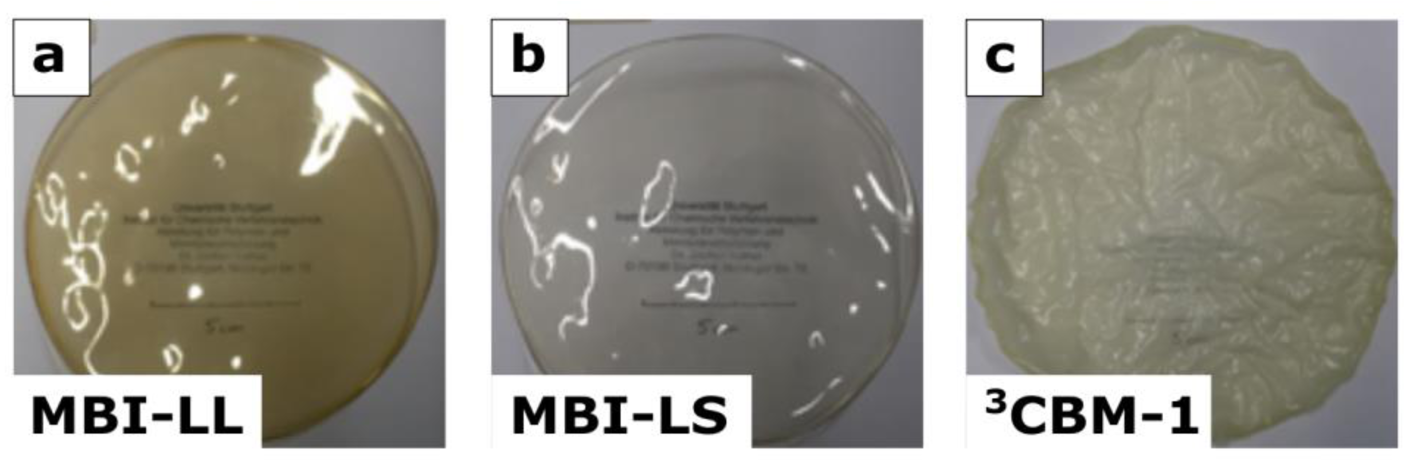 Polymers 13 03467 g006