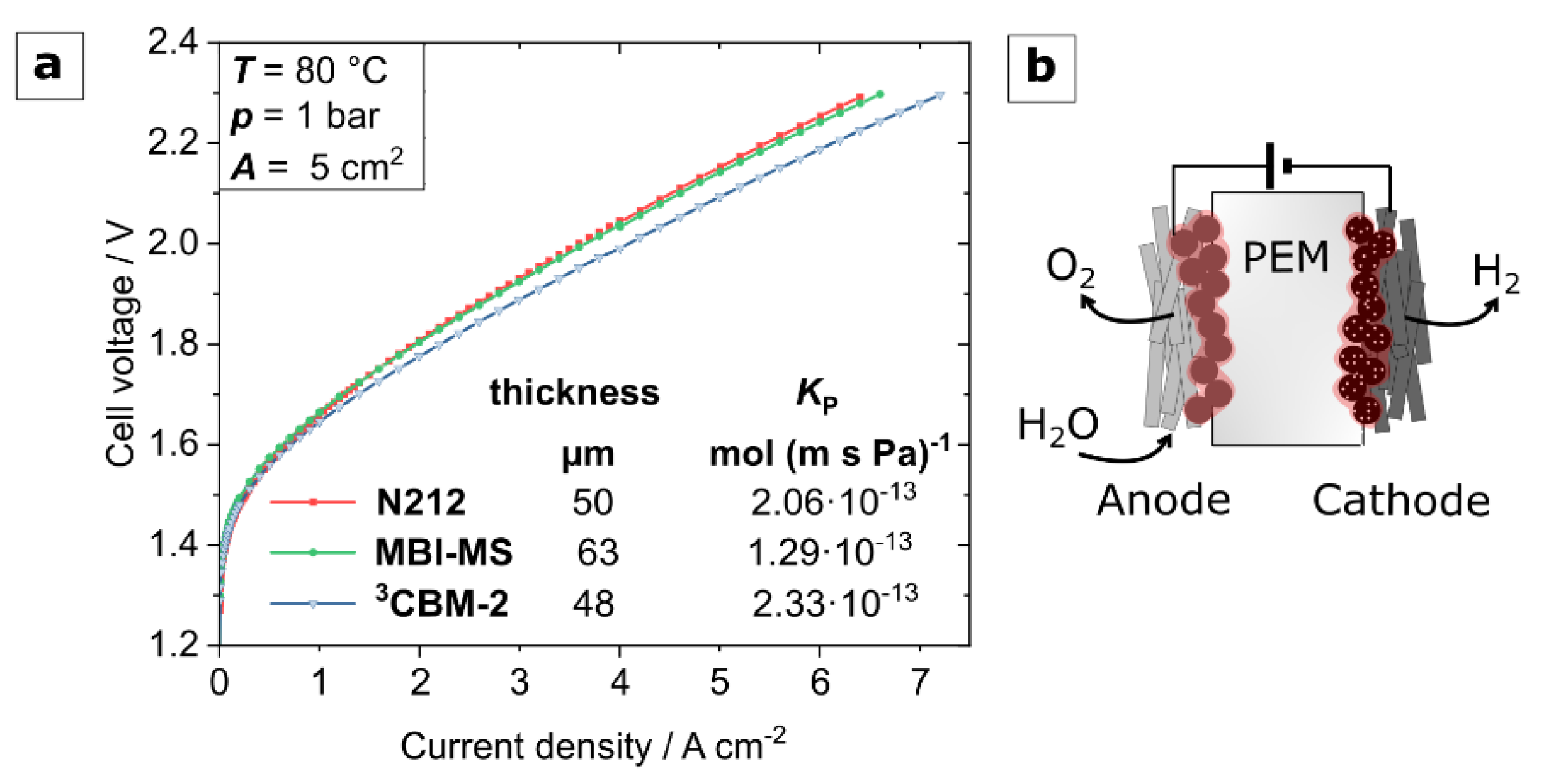 Polymers 13 03467 g011