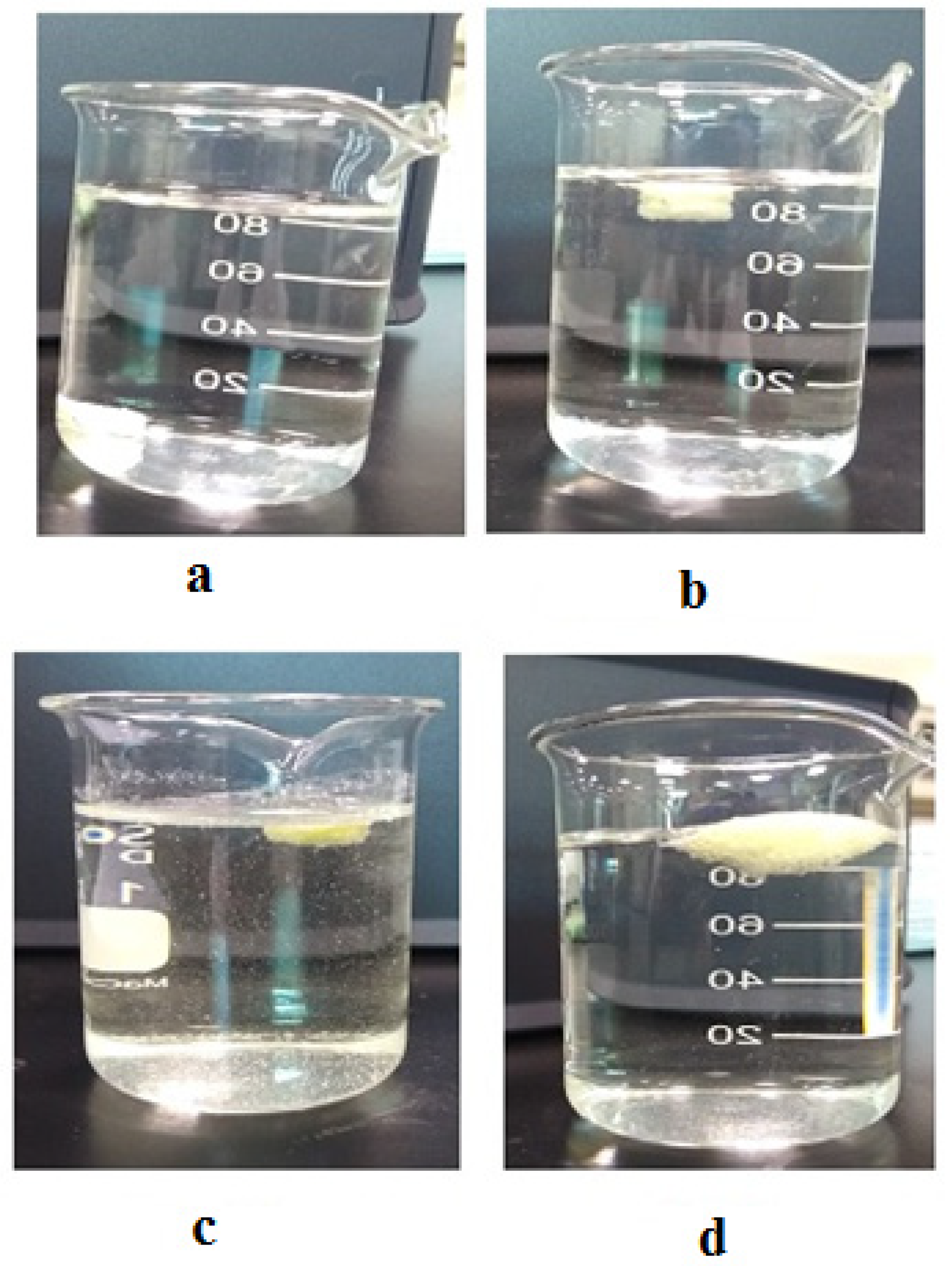 Polymers 13 03476 g004