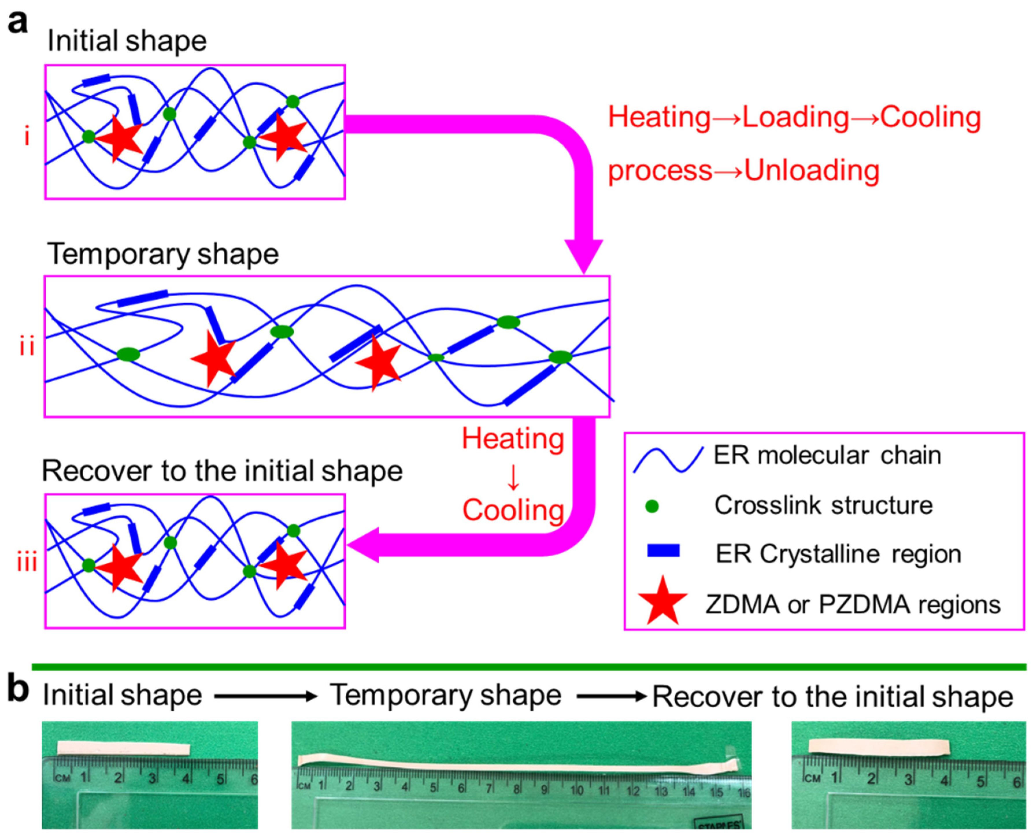 Polymers 13 03479 g009
