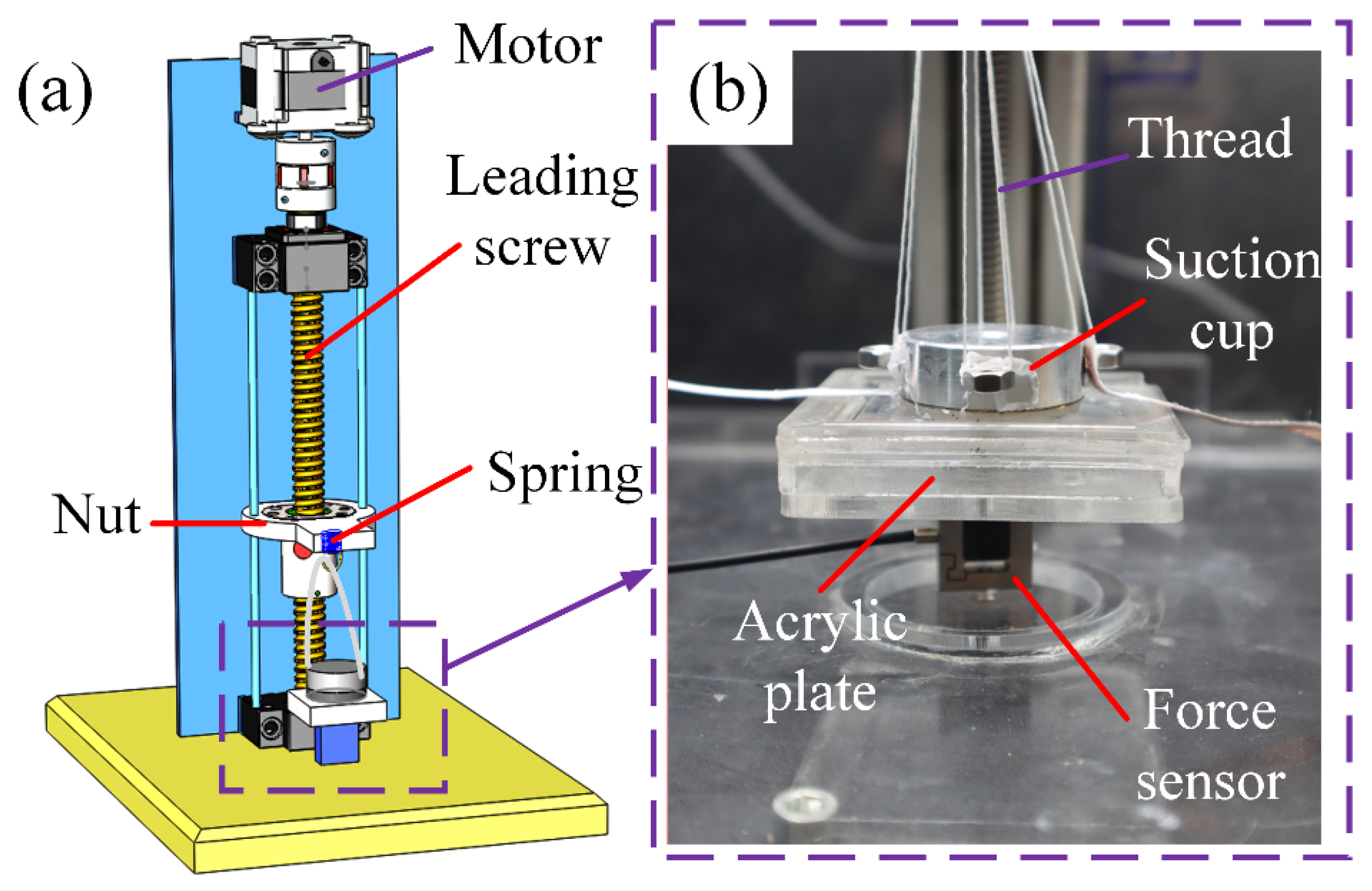 Polymers 13 03481 g004
