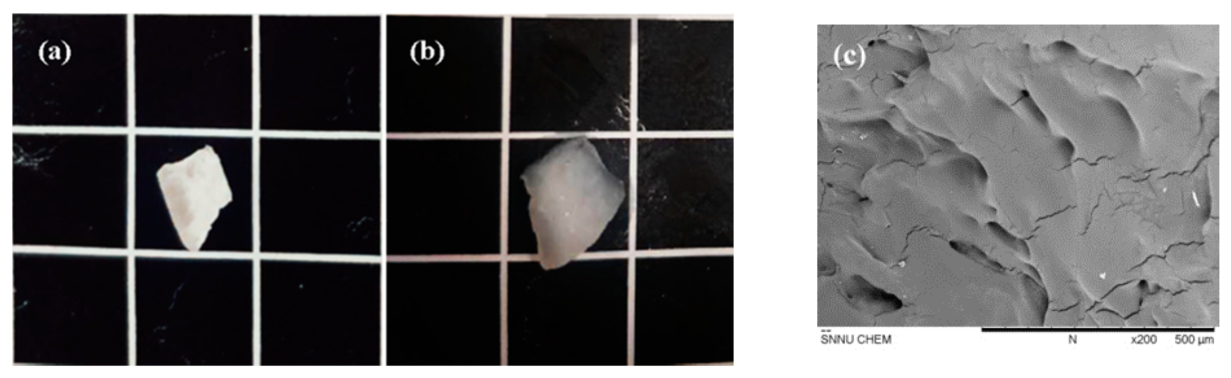 Polymers 13 03492 g011