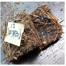 Polymers 13 03494 i012