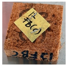 Polymers 13 03494 i019