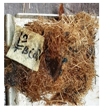 Polymers 13 03494 i020